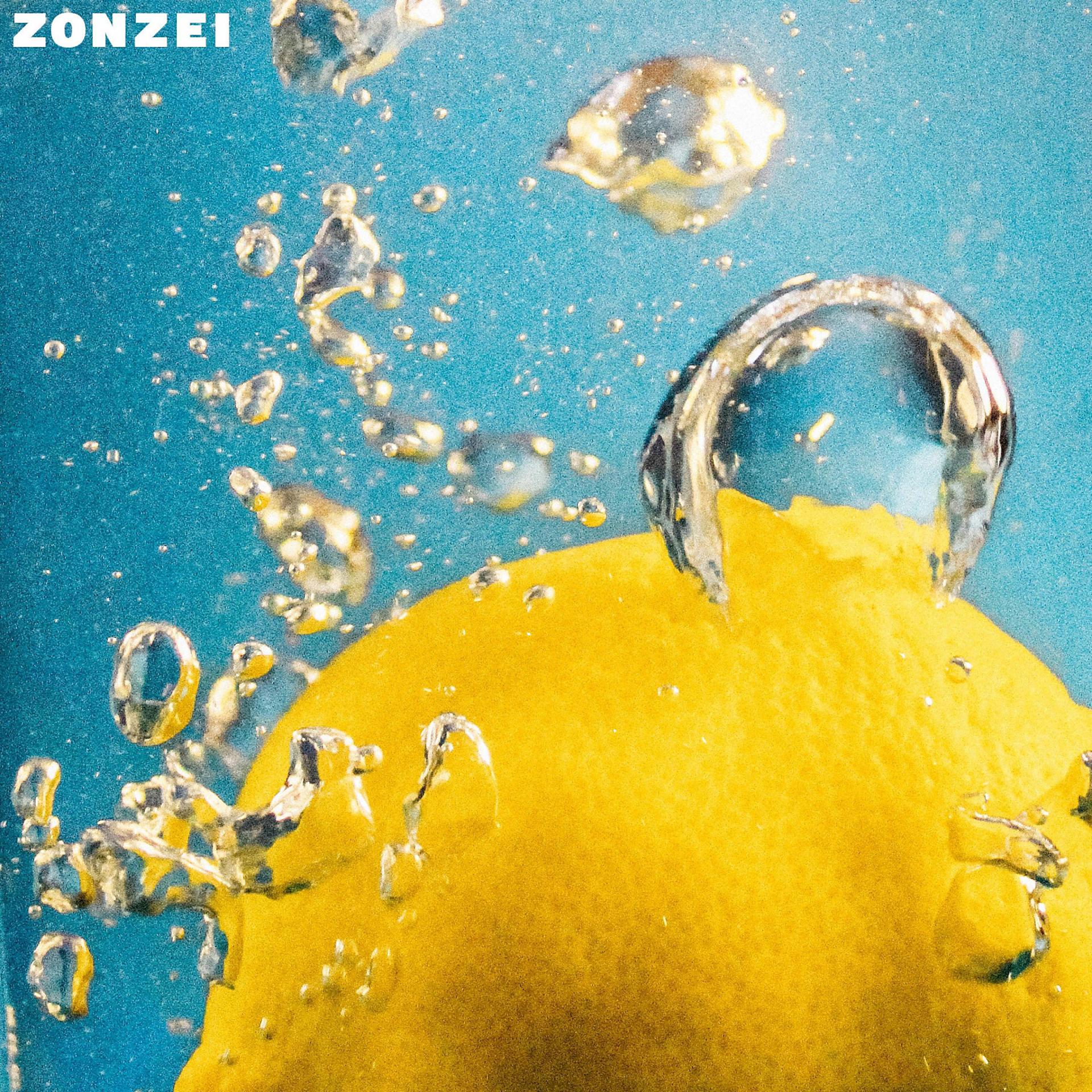 Постер альбома Zonzei