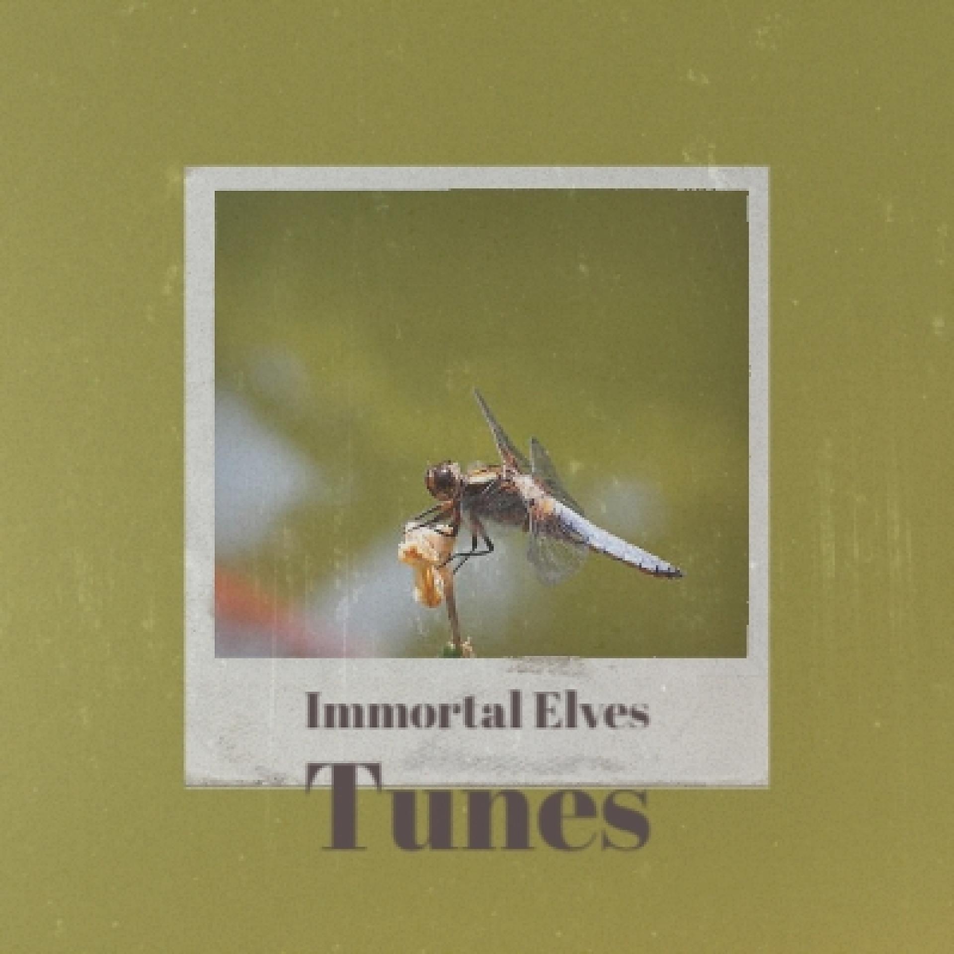 Постер альбома Immortal Elves Tunes