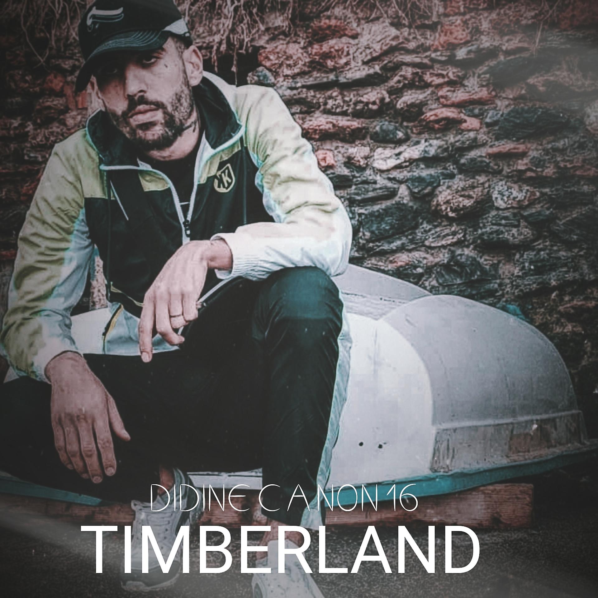 Постер альбома Timberland