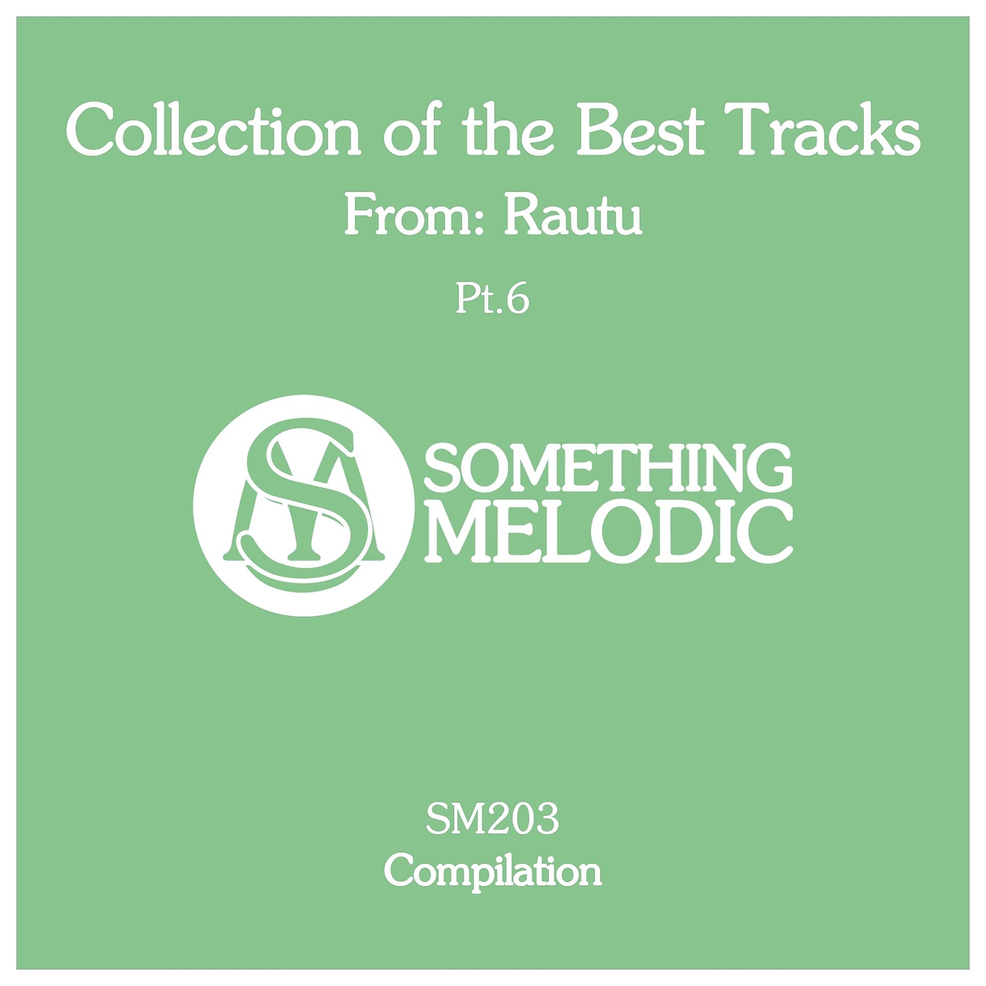 Постер альбома Collection of the Best Tracks From: Rautu, Pt. 6