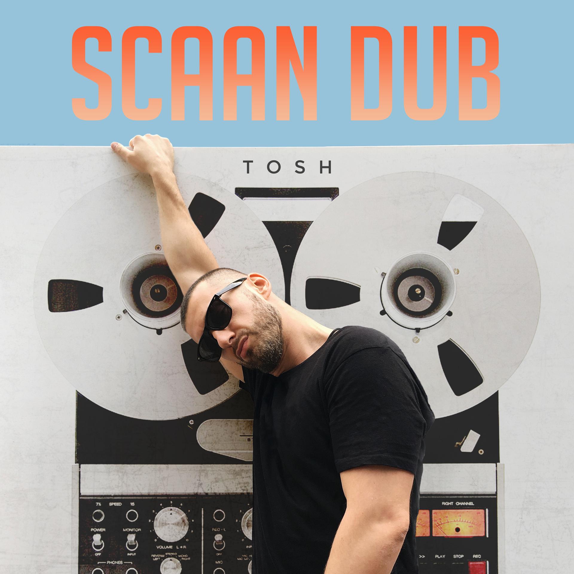 Постер альбома Scaan Dub