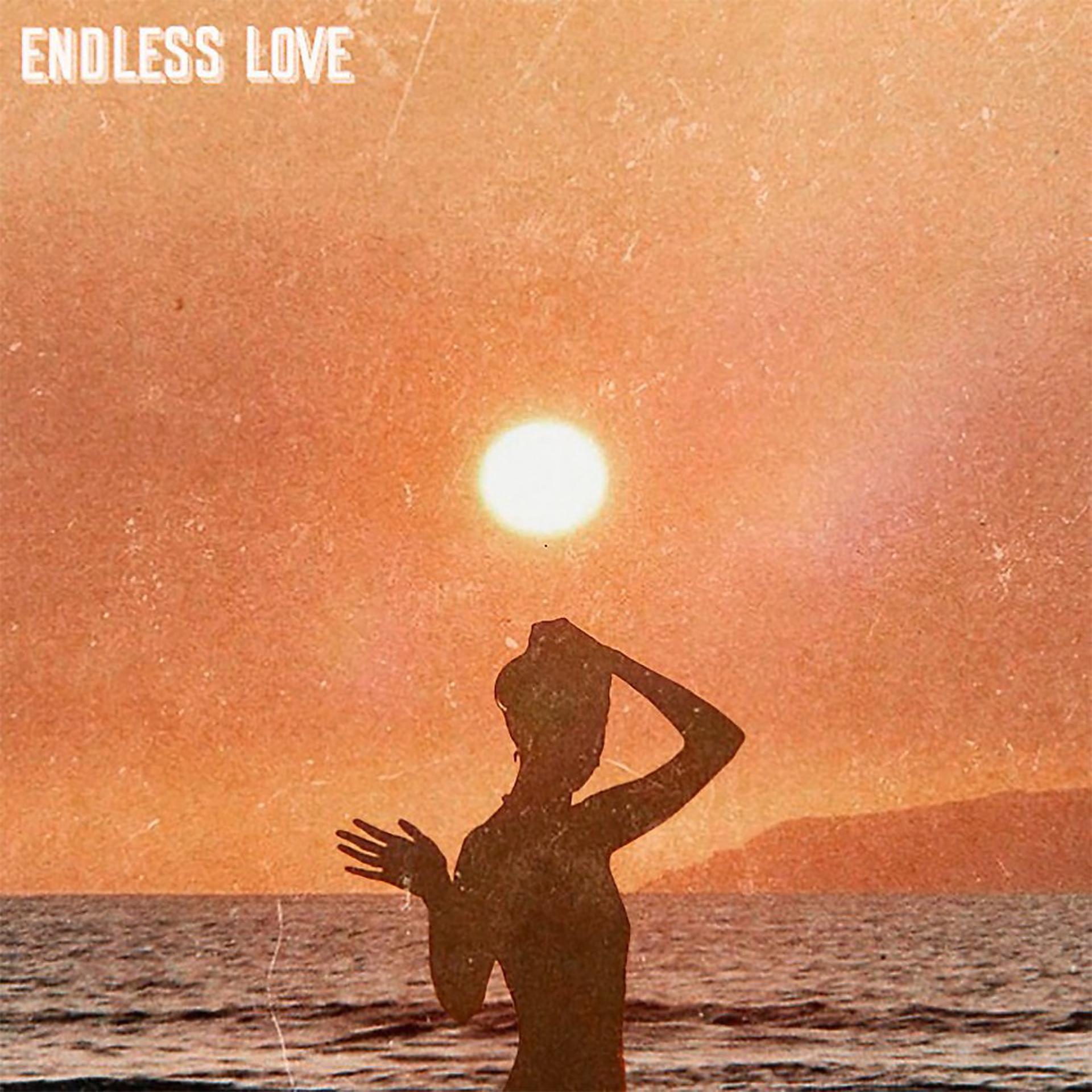 Постер альбома Endless Love - Single