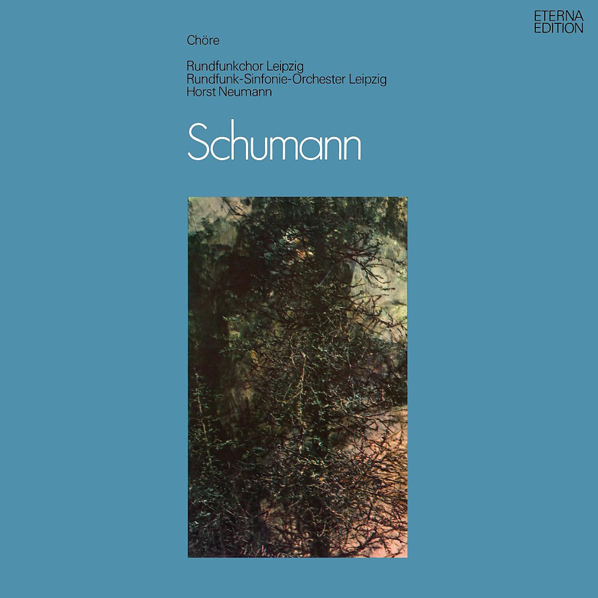 Постер альбома Schumann: Chöre