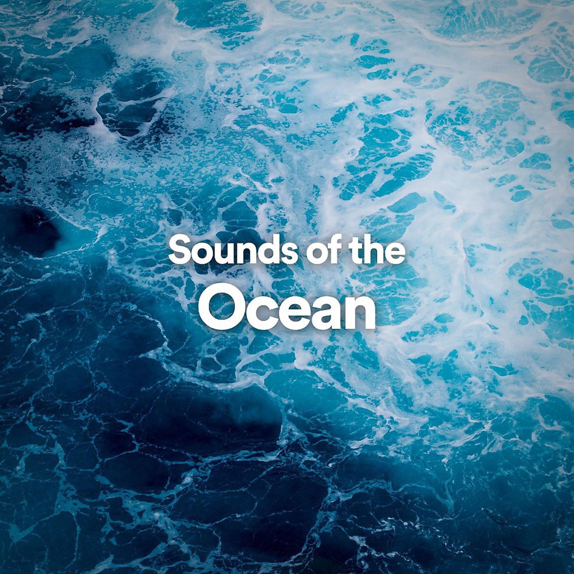Постер альбома Sounds of the Ocean
