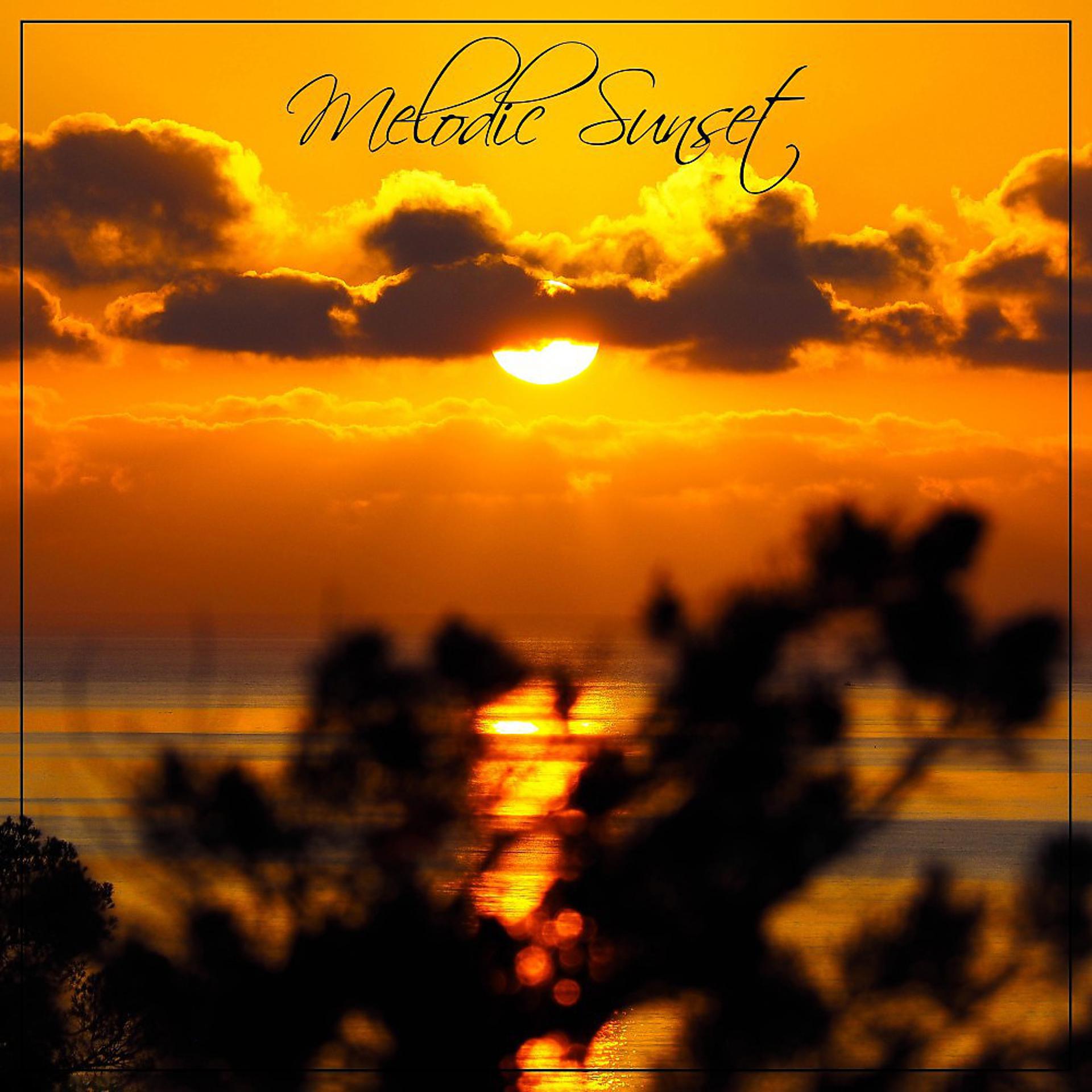 Постер альбома Melodic Sunset
