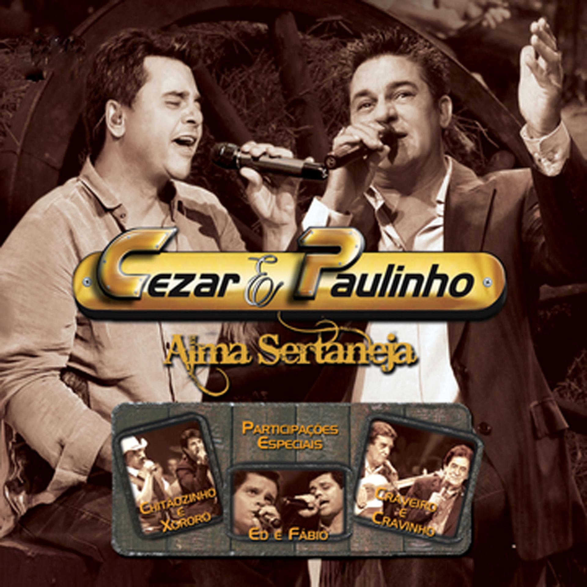 Постер альбома Alma Sertaneja, Vol. 2 (Ao Vivo)