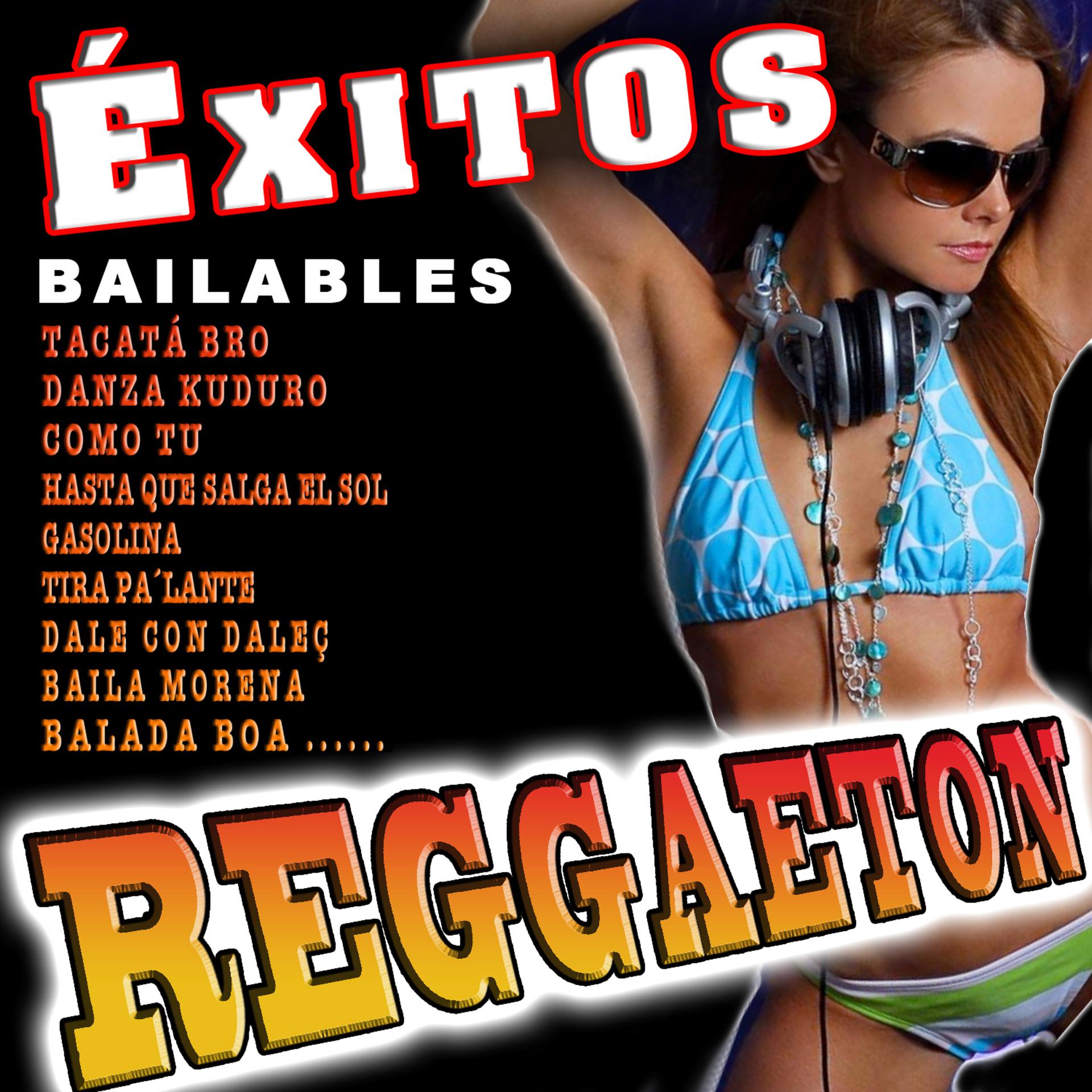 Постер альбома Éxitos Reggaeton Bailables