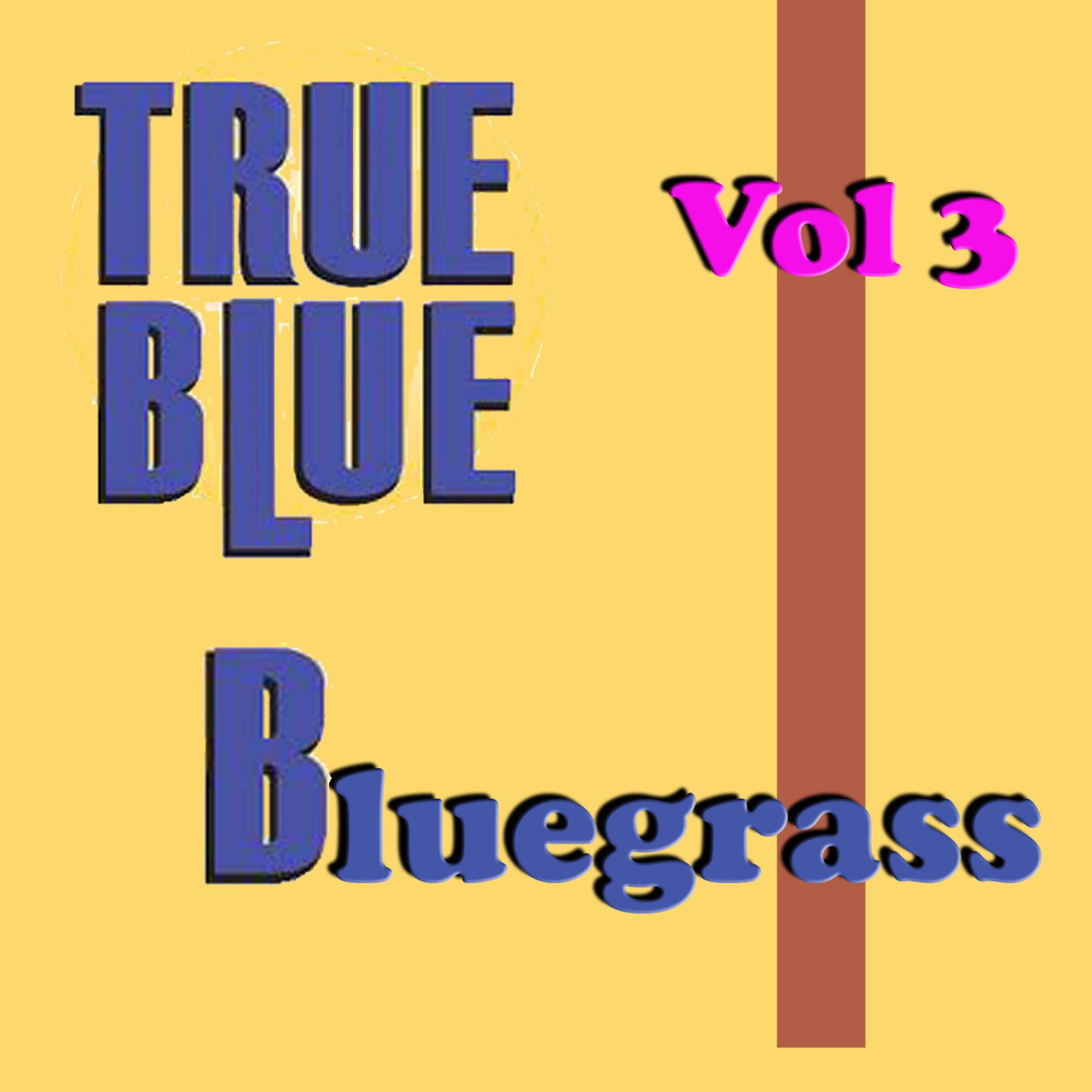 Постер альбома True Blue Bluegrass, Vol. 3