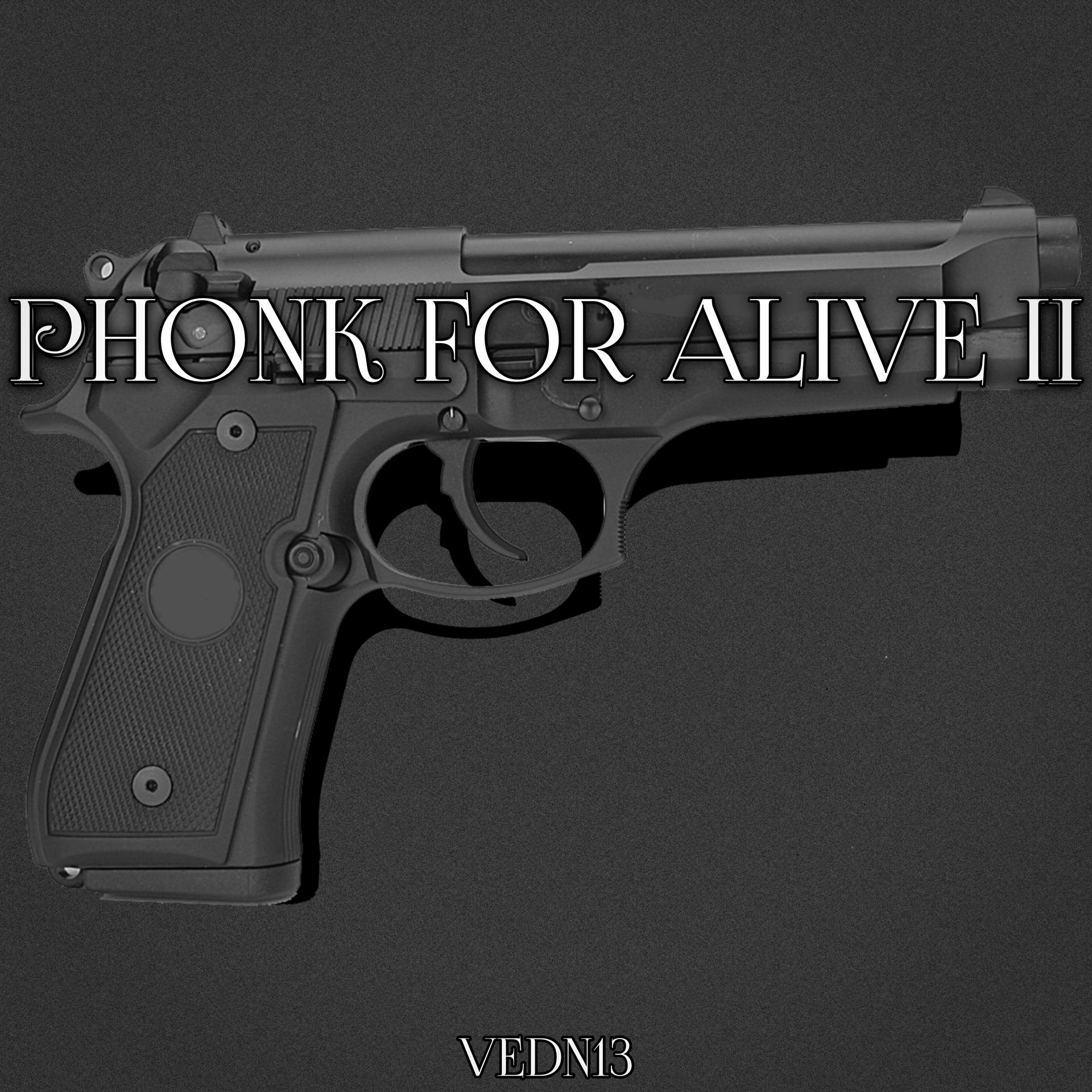 Постер альбома Phonk for Alive II