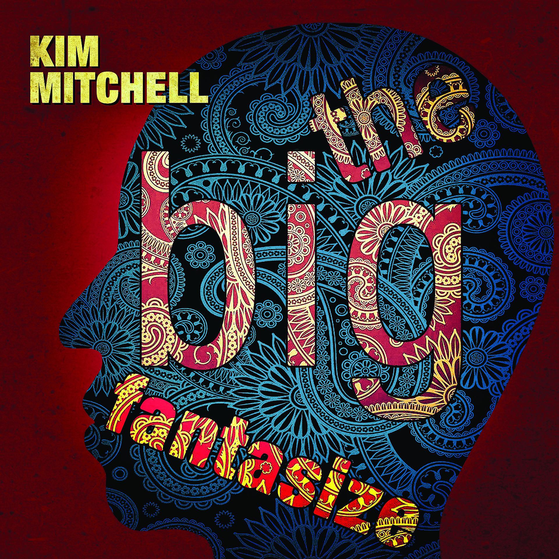 Постер альбома The Big Fantasize