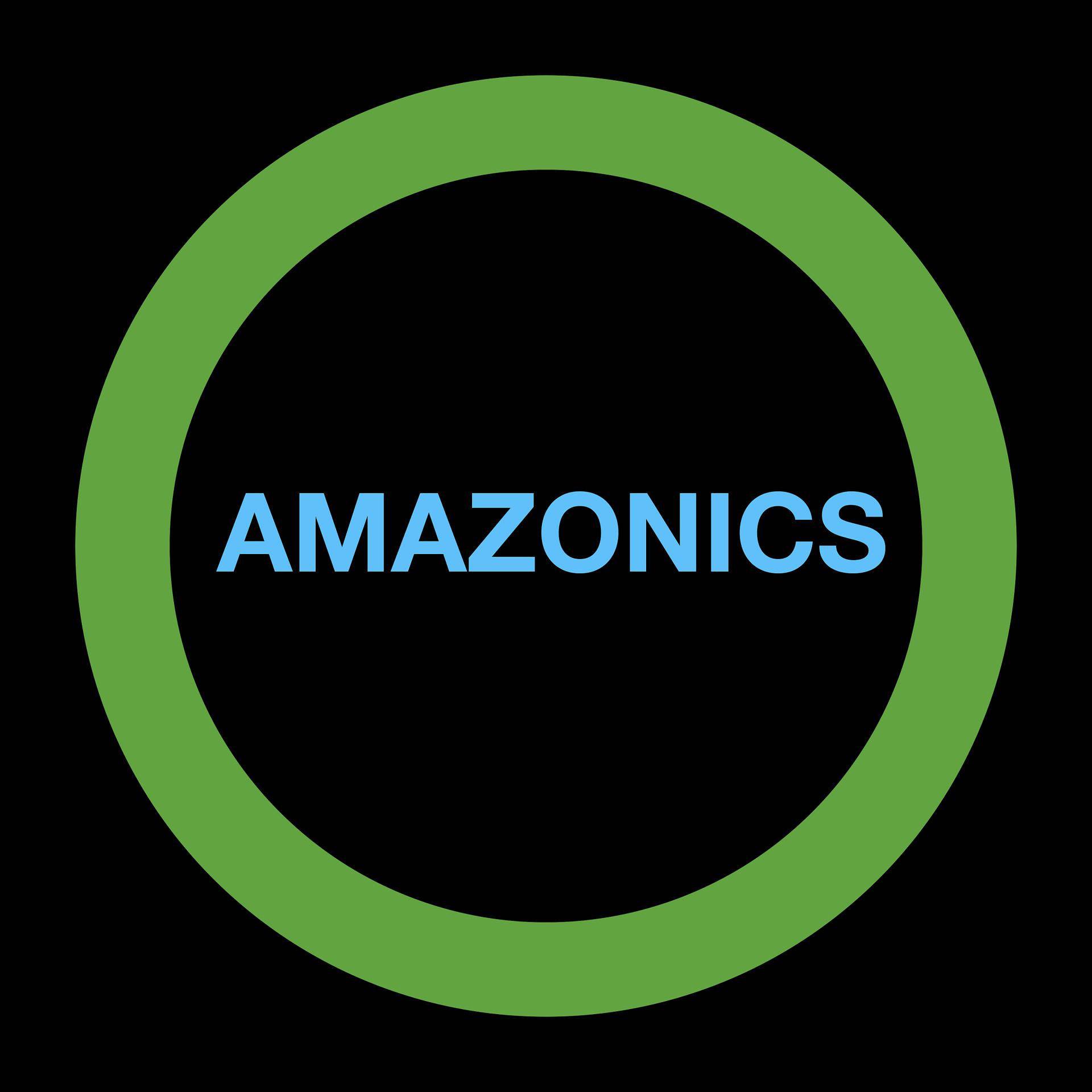 Постер альбома Amazonics
