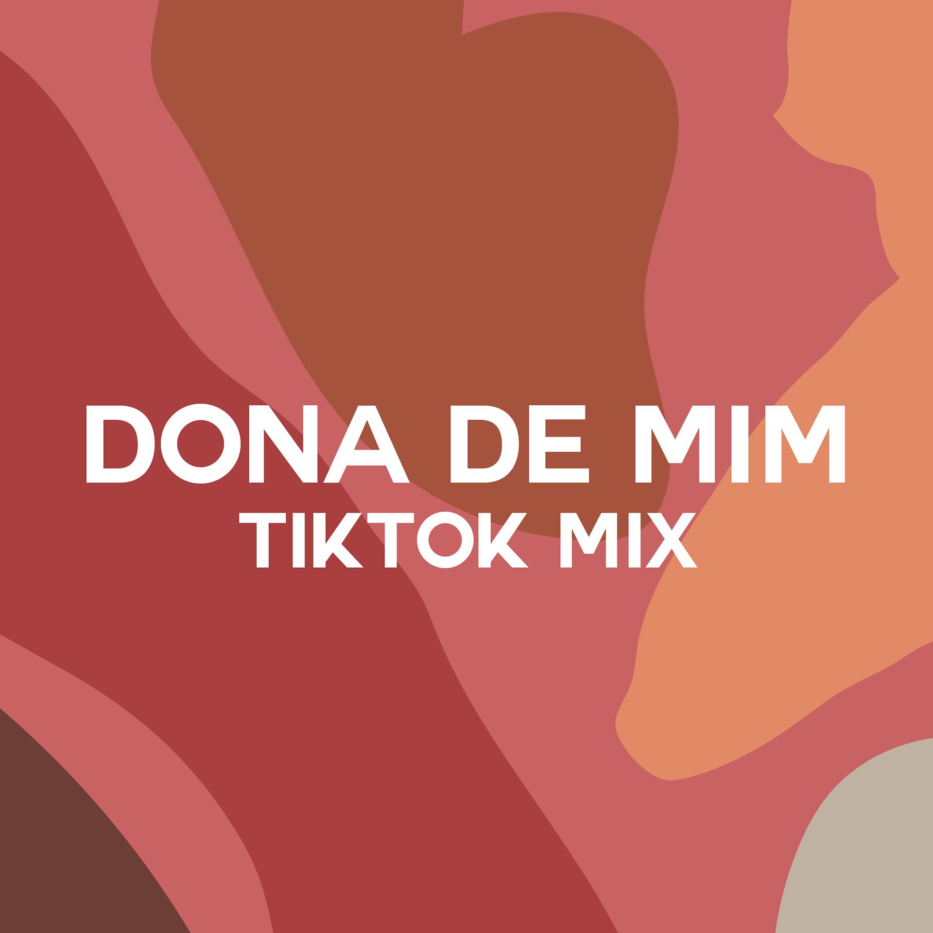 Постер альбома Dona de Mim (TikTok Mix)