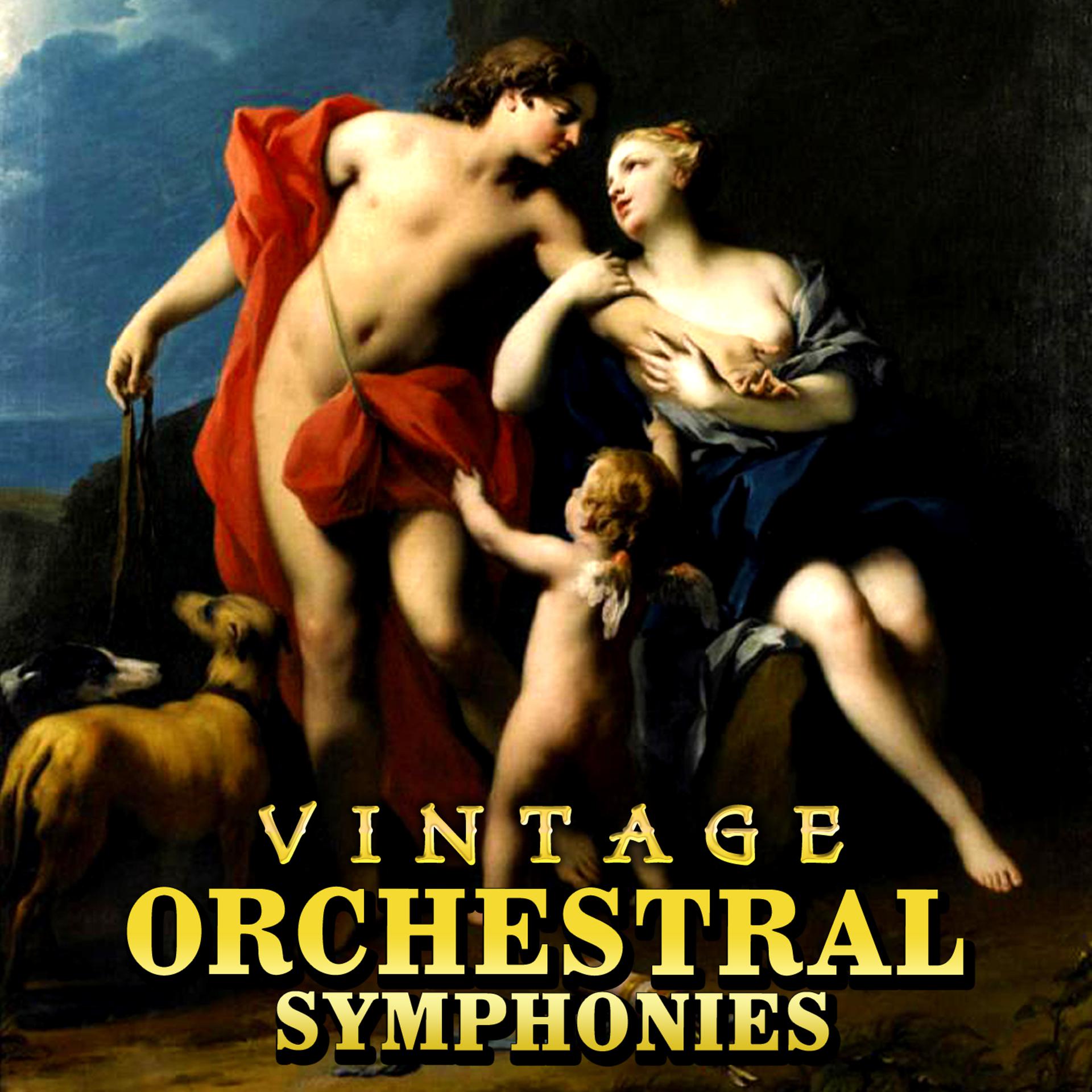 Постер альбома Vintage Orchestral Symphonies