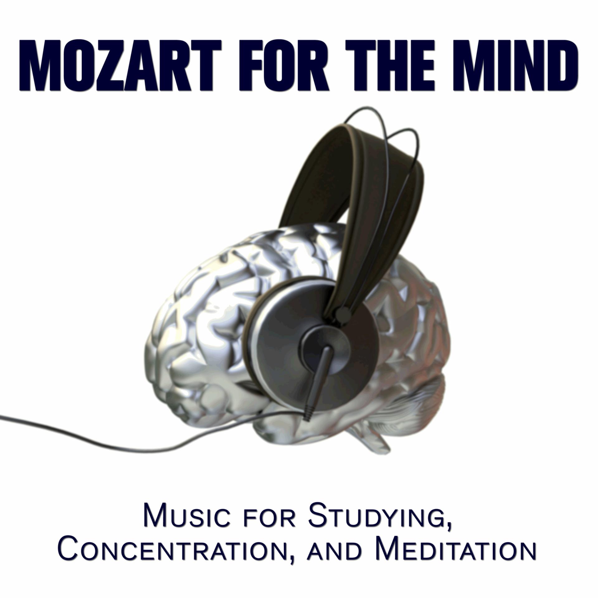 Постер альбома Mozart for the Mind: Music for Studying, Concentration, and Meditation