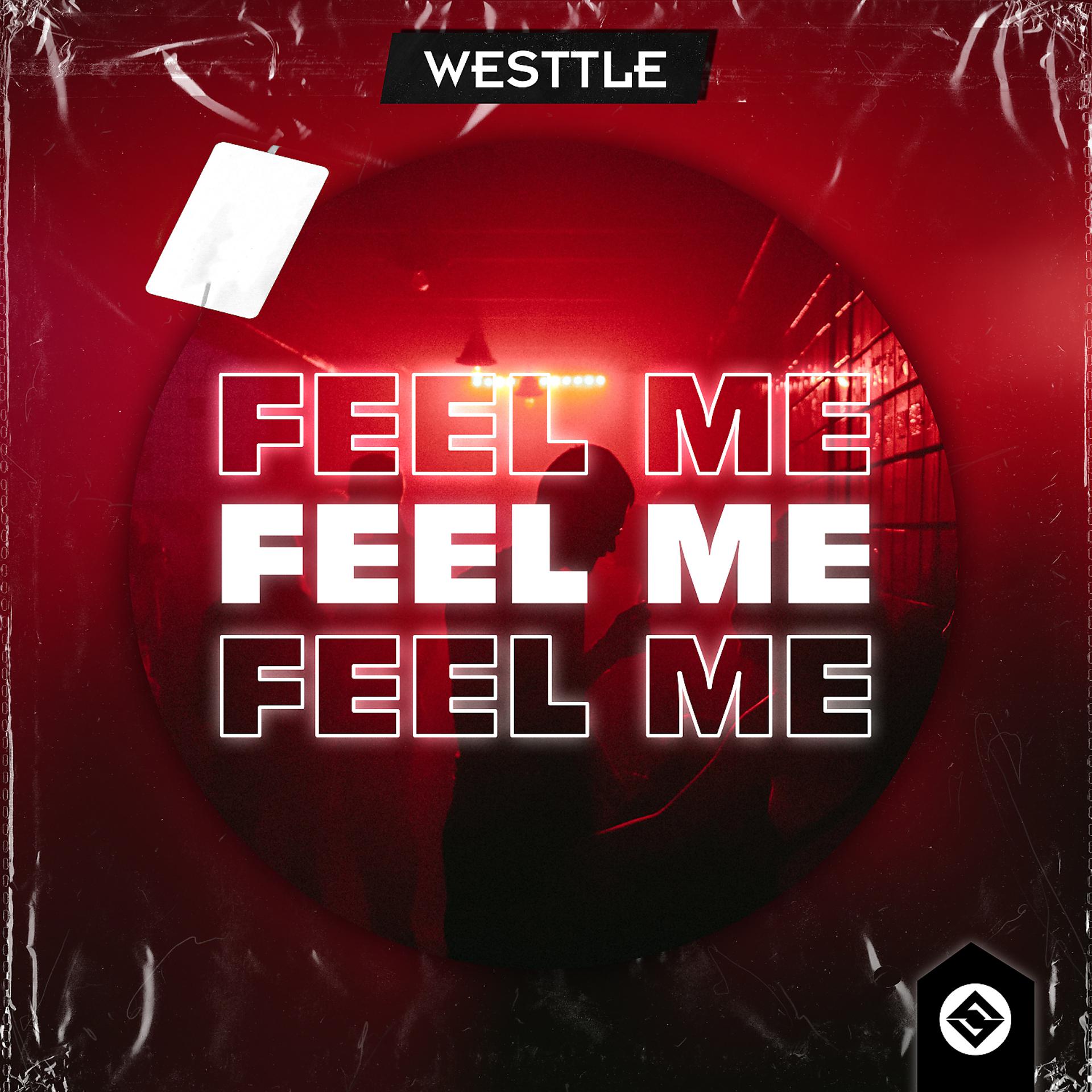 Постер альбома Feel Me (Radio Mix)