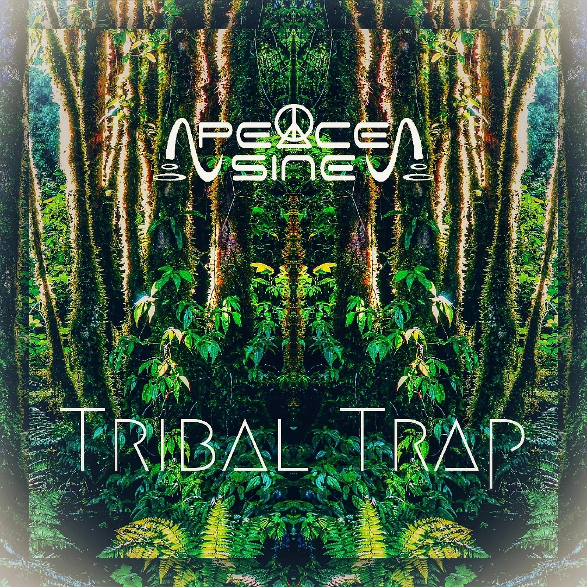 Постер альбома Tribal Trap