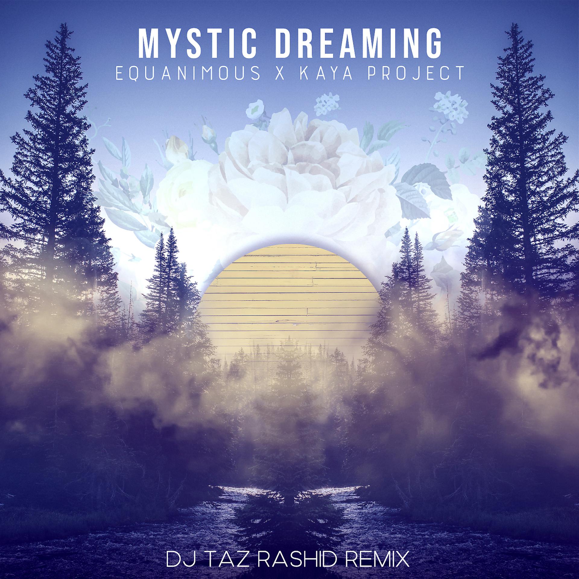 Постер альбома Mystic Dreaming (DJ Taz Rashid Remix)