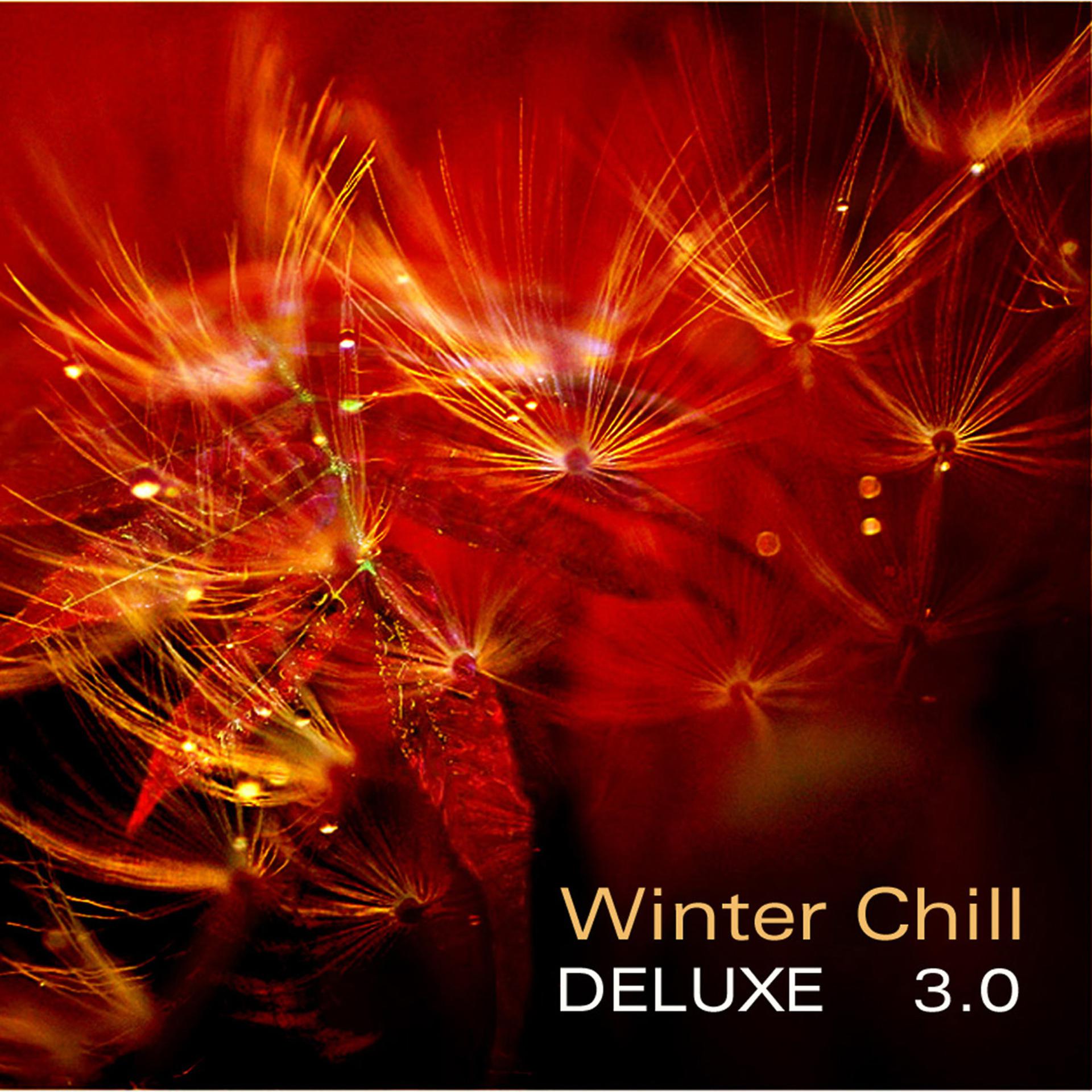 Постер альбома Winter Chill Deluxe 3.0