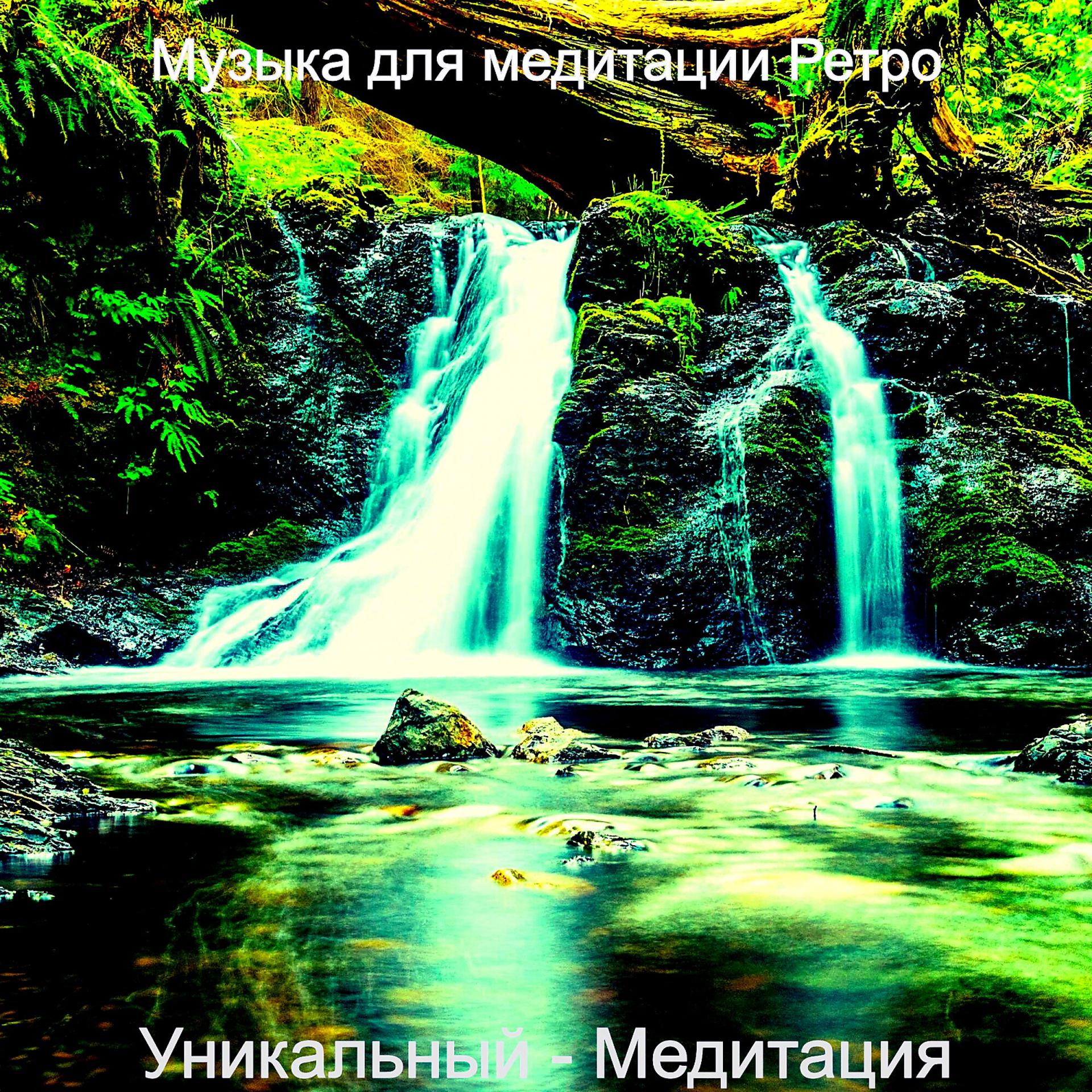 Постер альбома Уникальный - Медитация