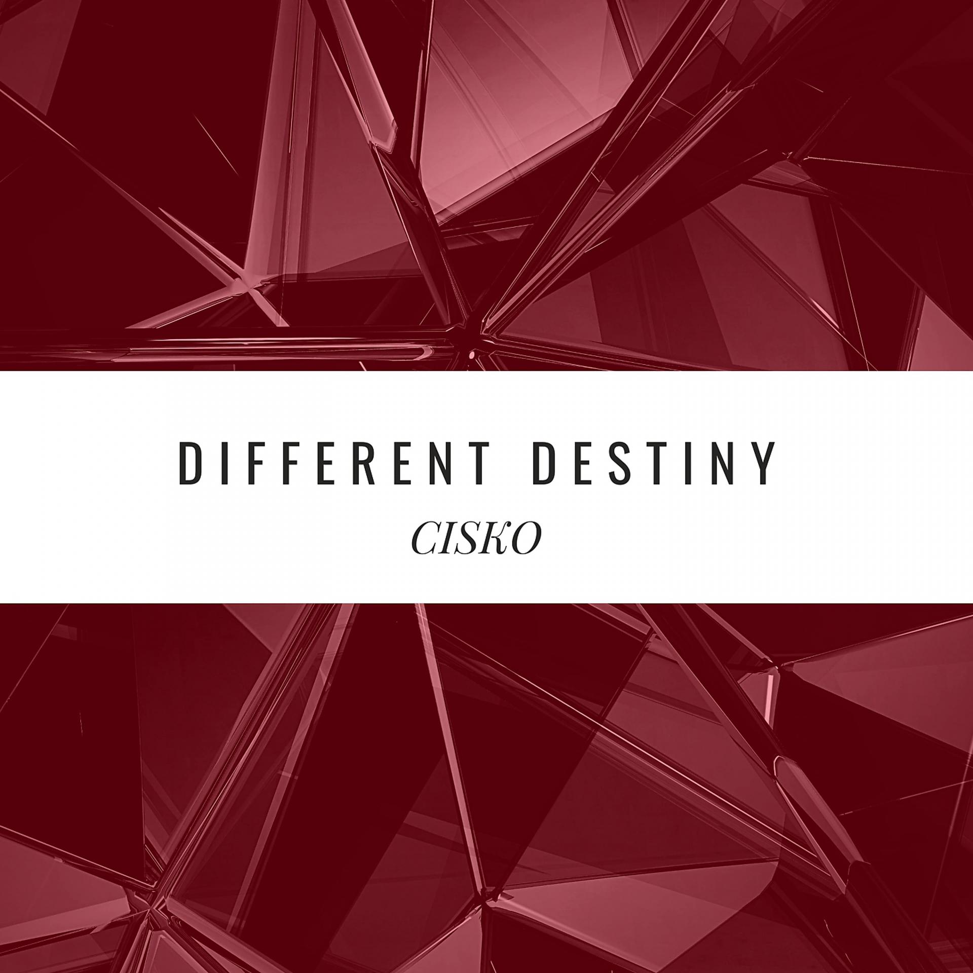 Постер альбома Different Destiny