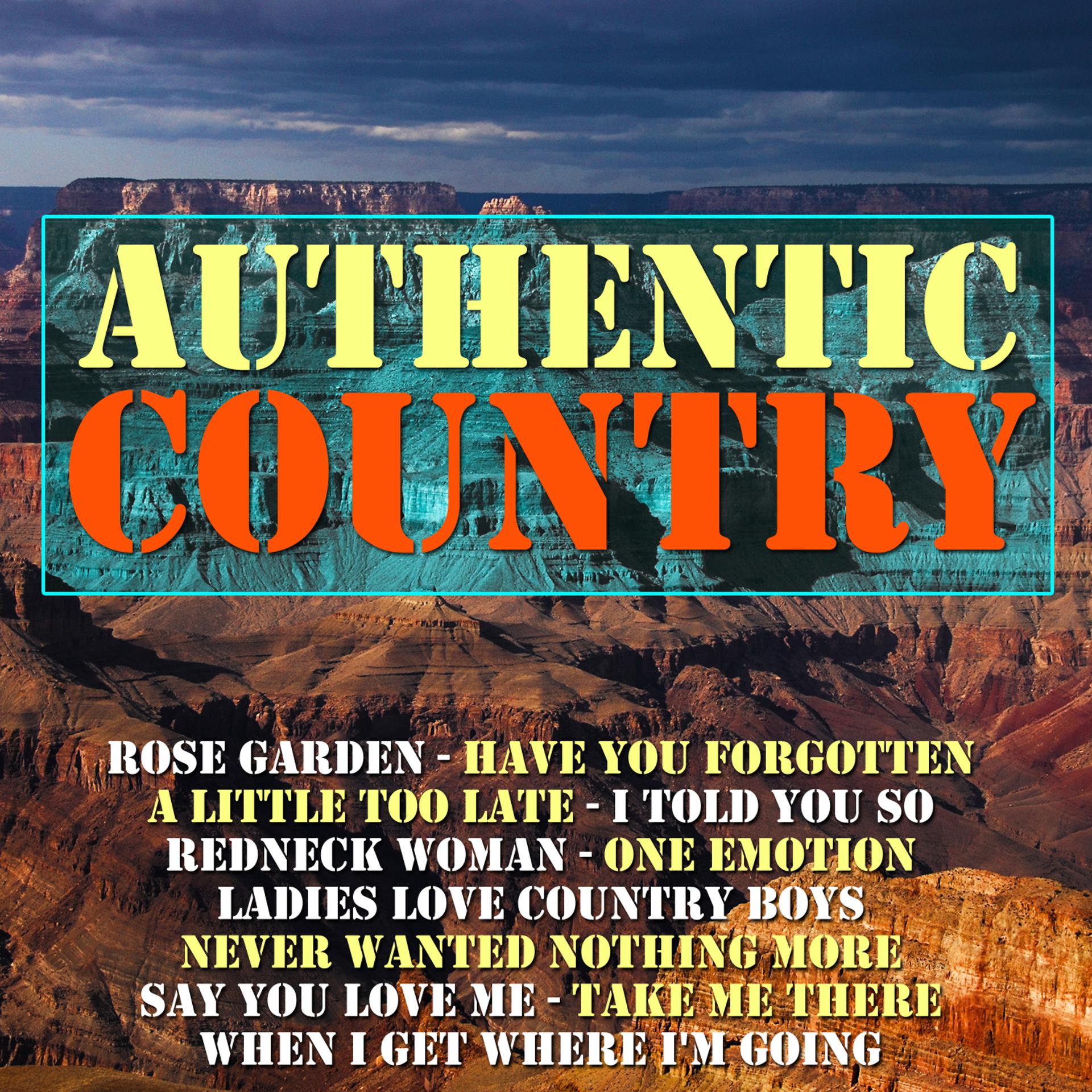 Постер альбома Authentic Country