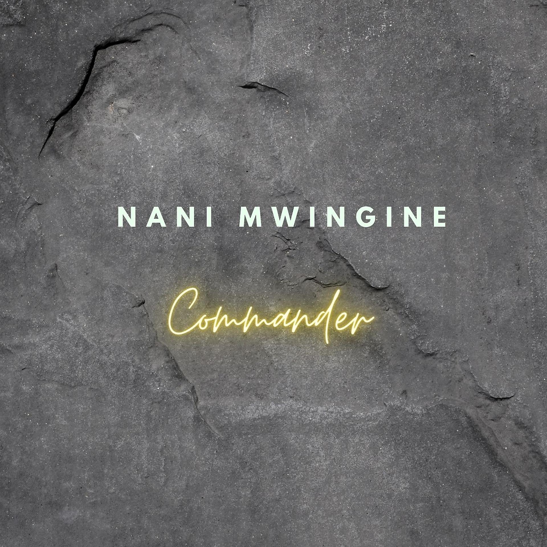 Постер альбома Nani Mwingine