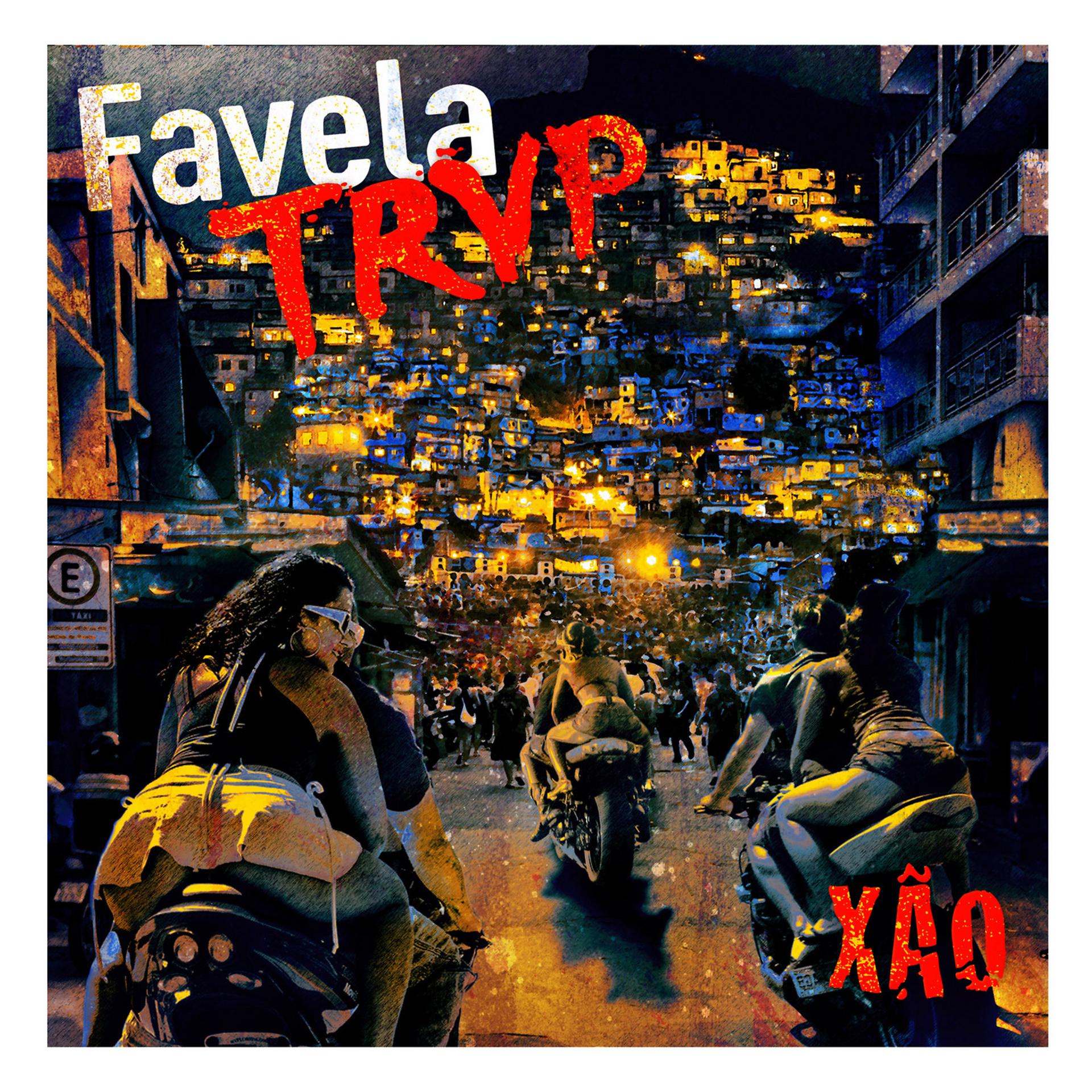 Постер альбома Favela Trap