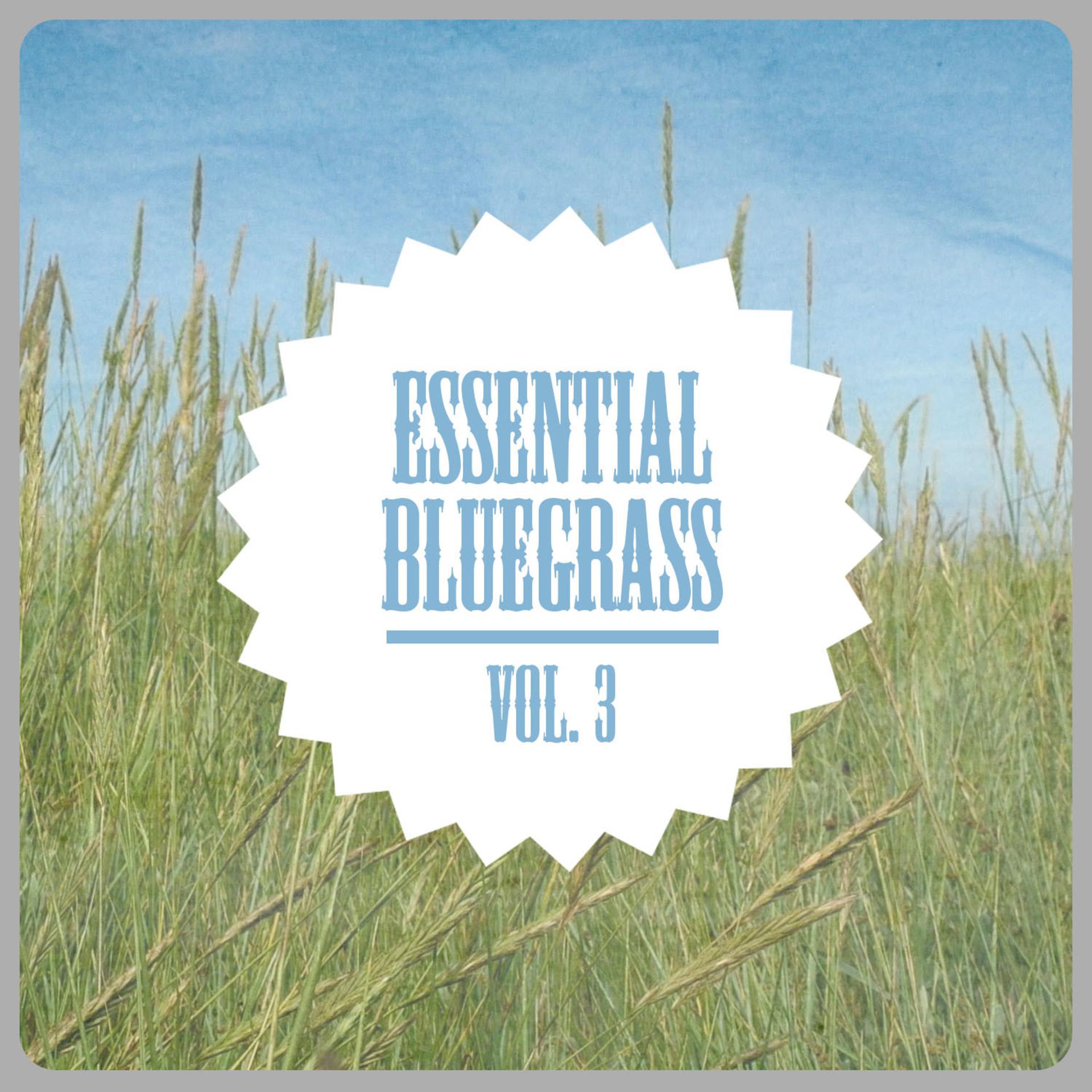 Постер альбома Essential Bluegrass, Vol. 3