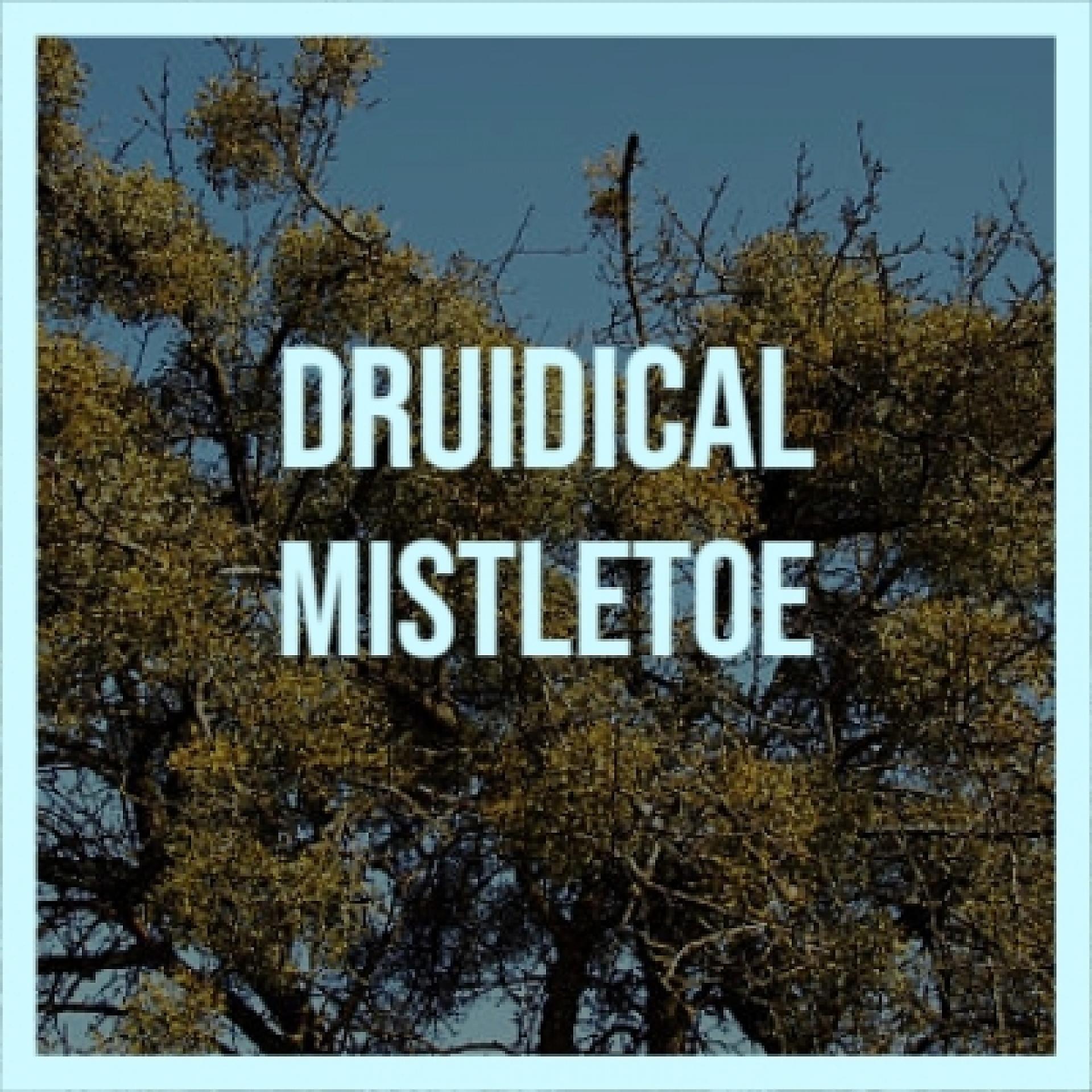 Постер альбома Druidical Mistletoe