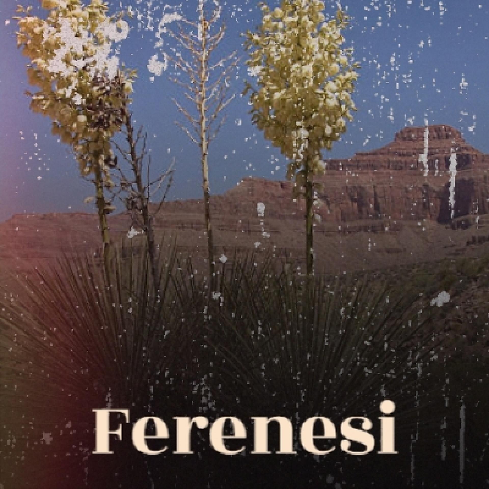 Постер альбома Ferenesi