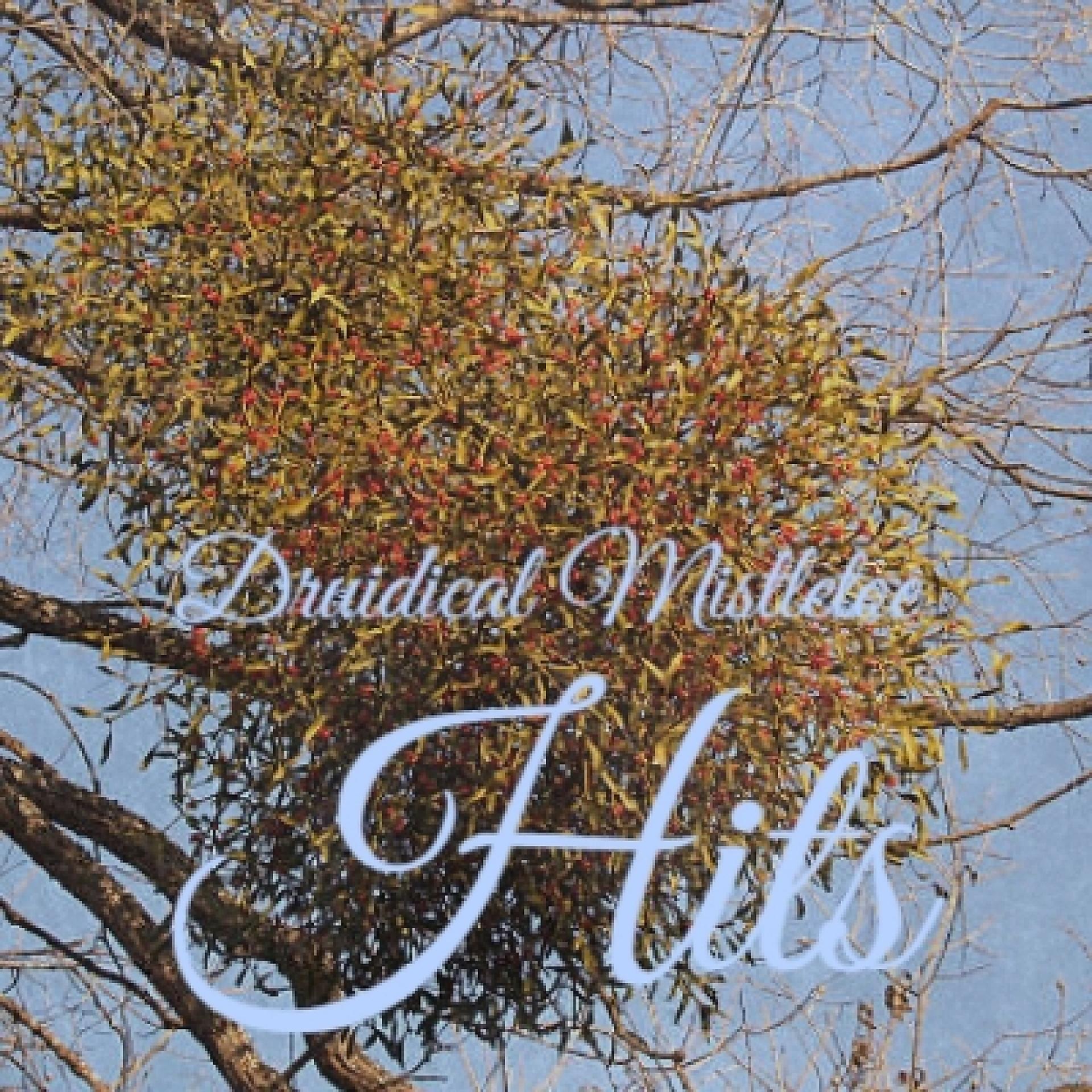 Постер альбома Druidical Mistletoe Hits