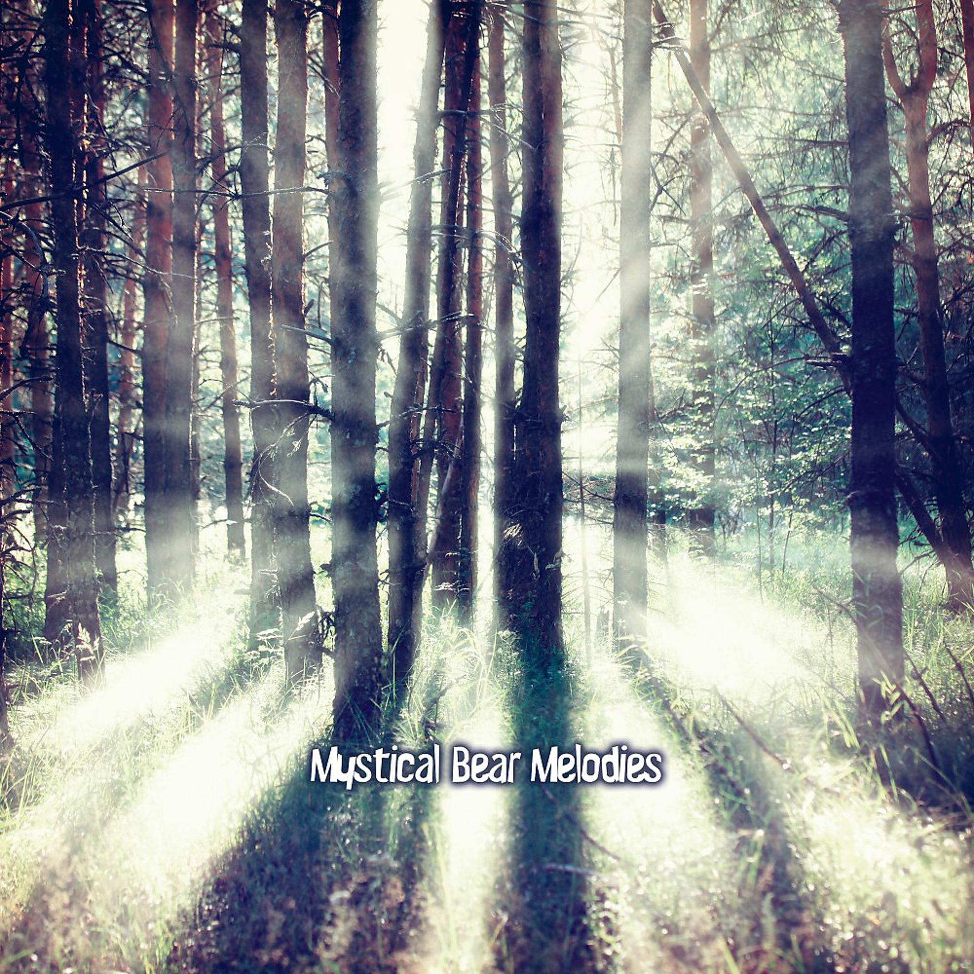 Постер альбома Mystical Bear Melodies