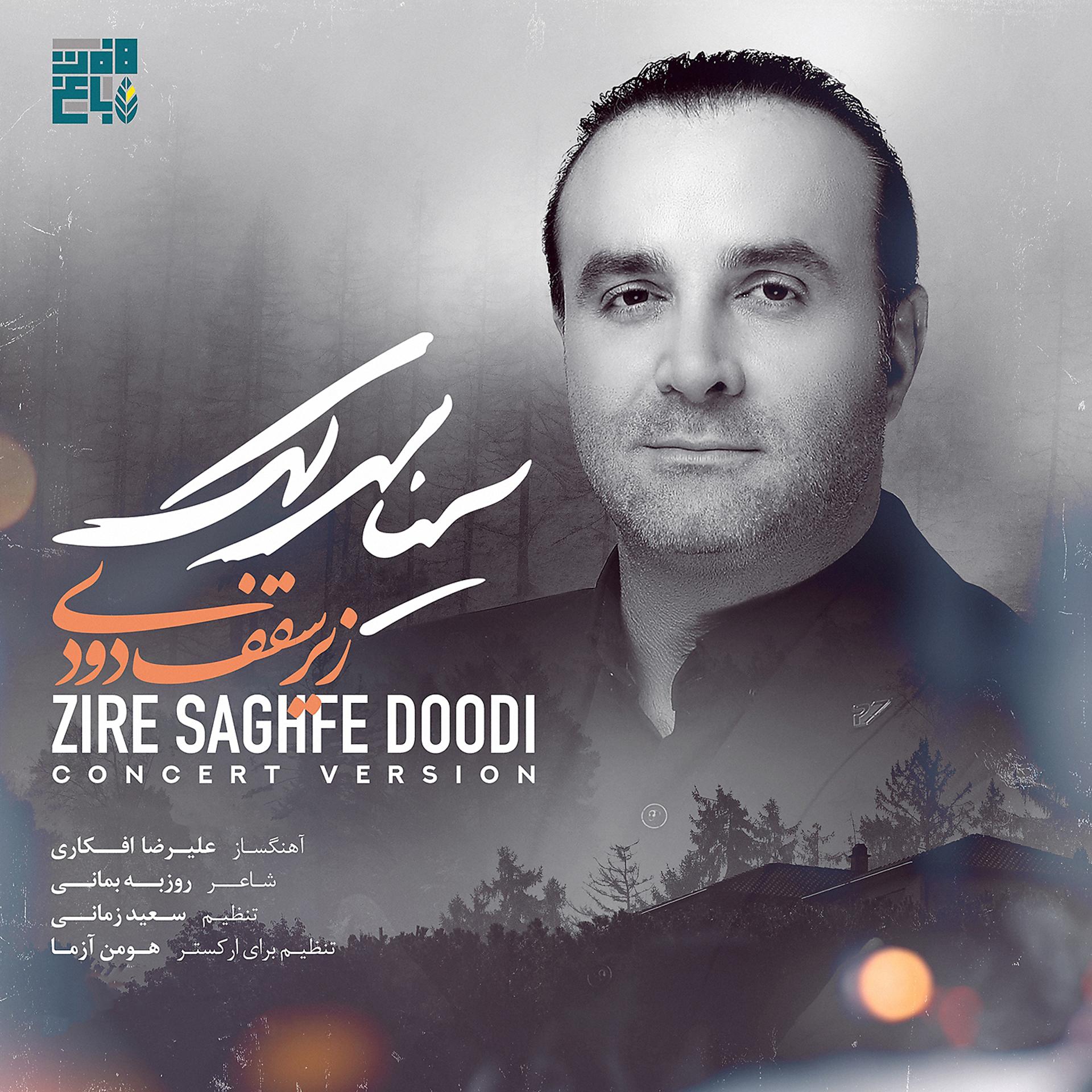 Постер альбома Zire Saghfe Doodi