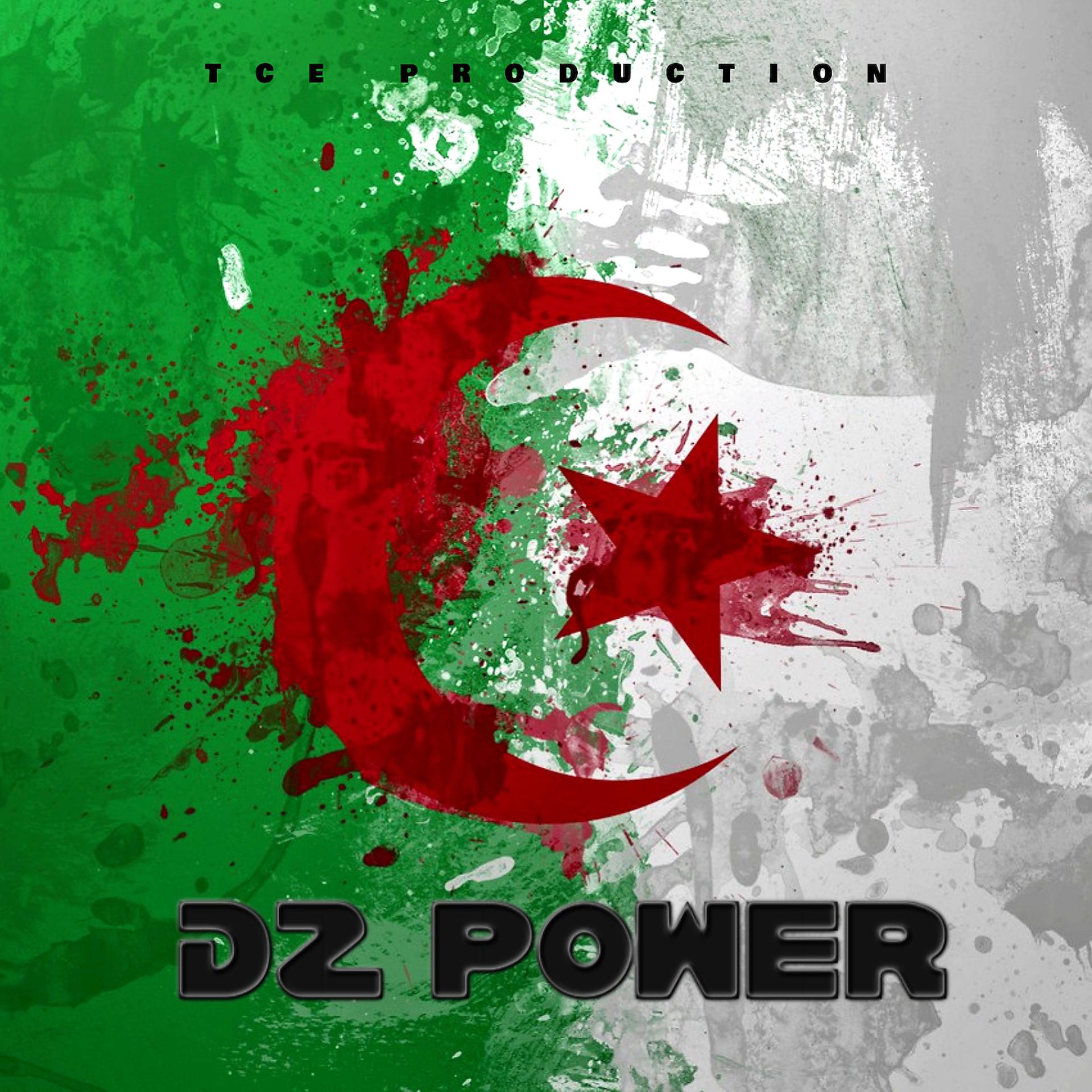 Постер альбома DZ Power
