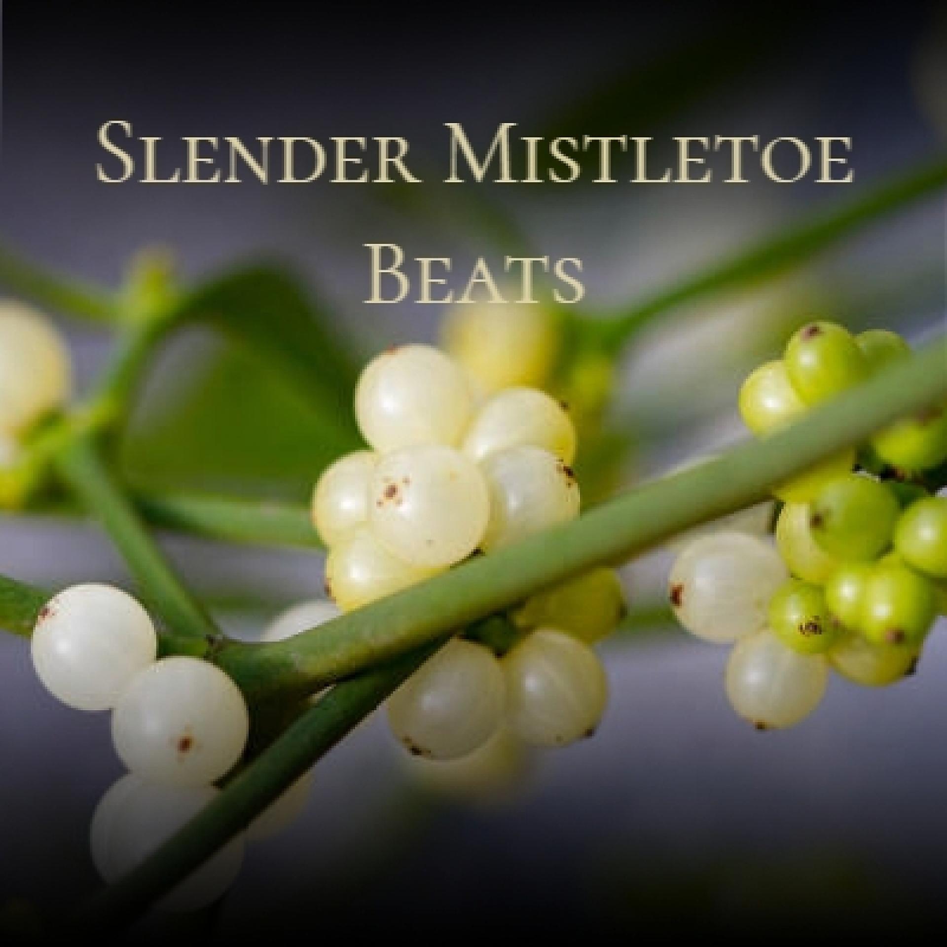 Постер альбома Slender Mistletoe Beats