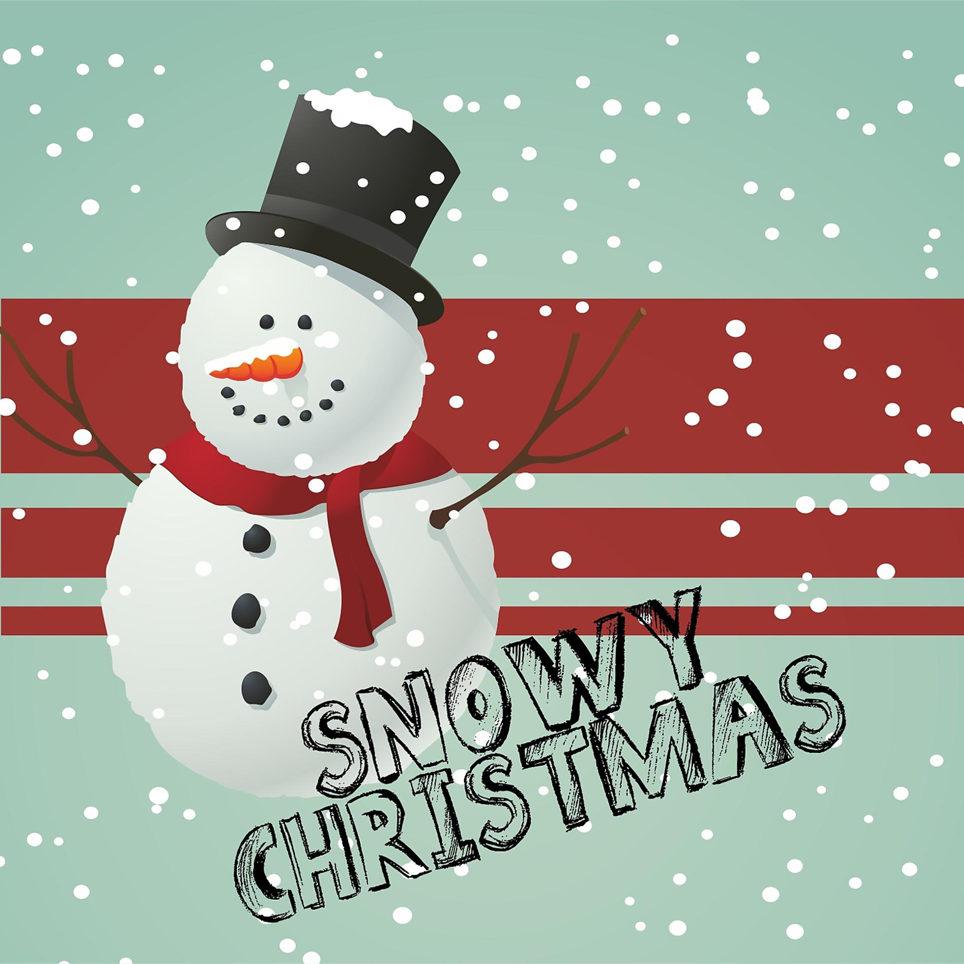 Постер альбома Snowy Christmas