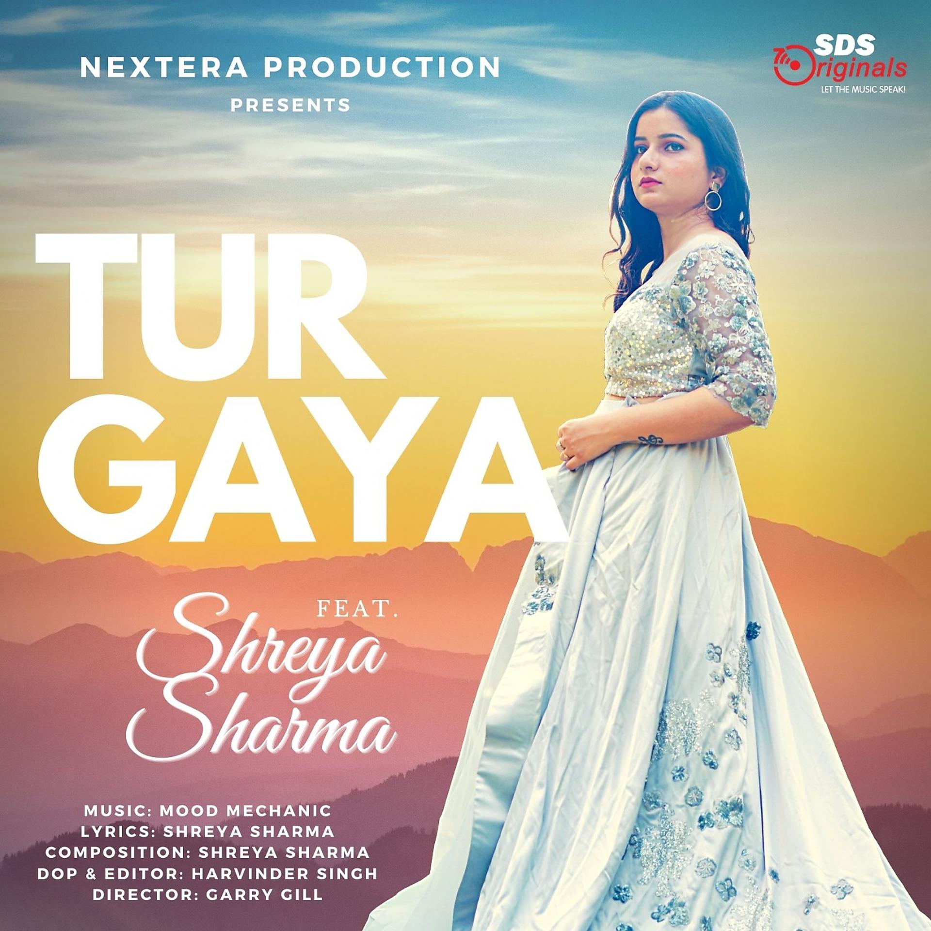 Постер альбома Tur Gaya