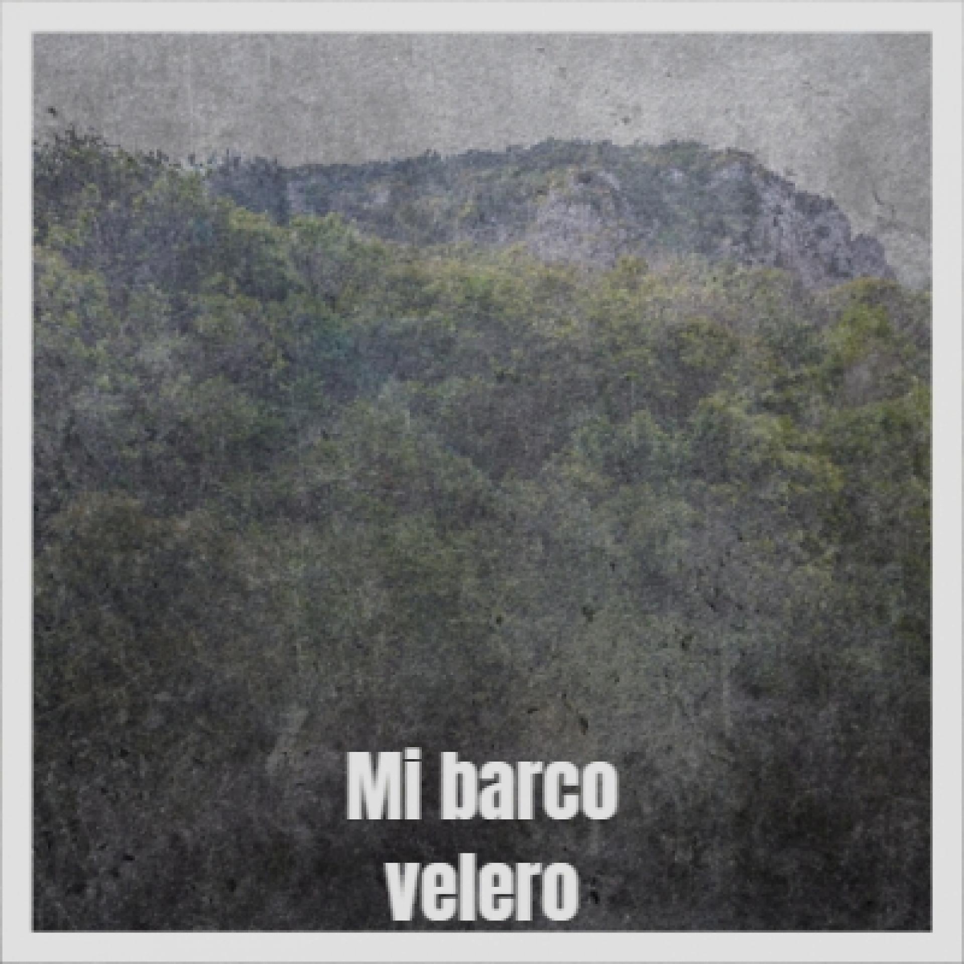 Постер альбома Mi Barco Velero