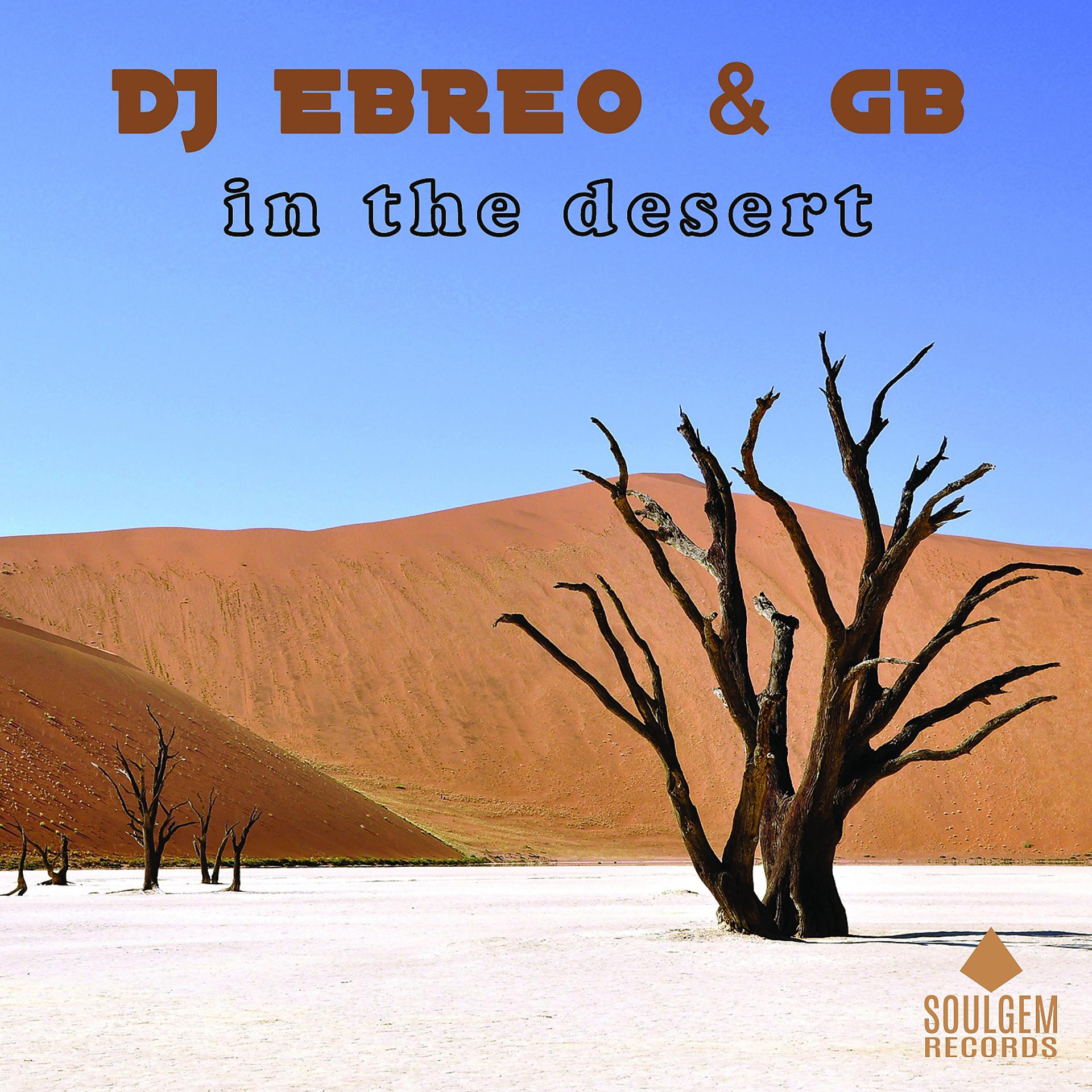 Постер альбома In the desert