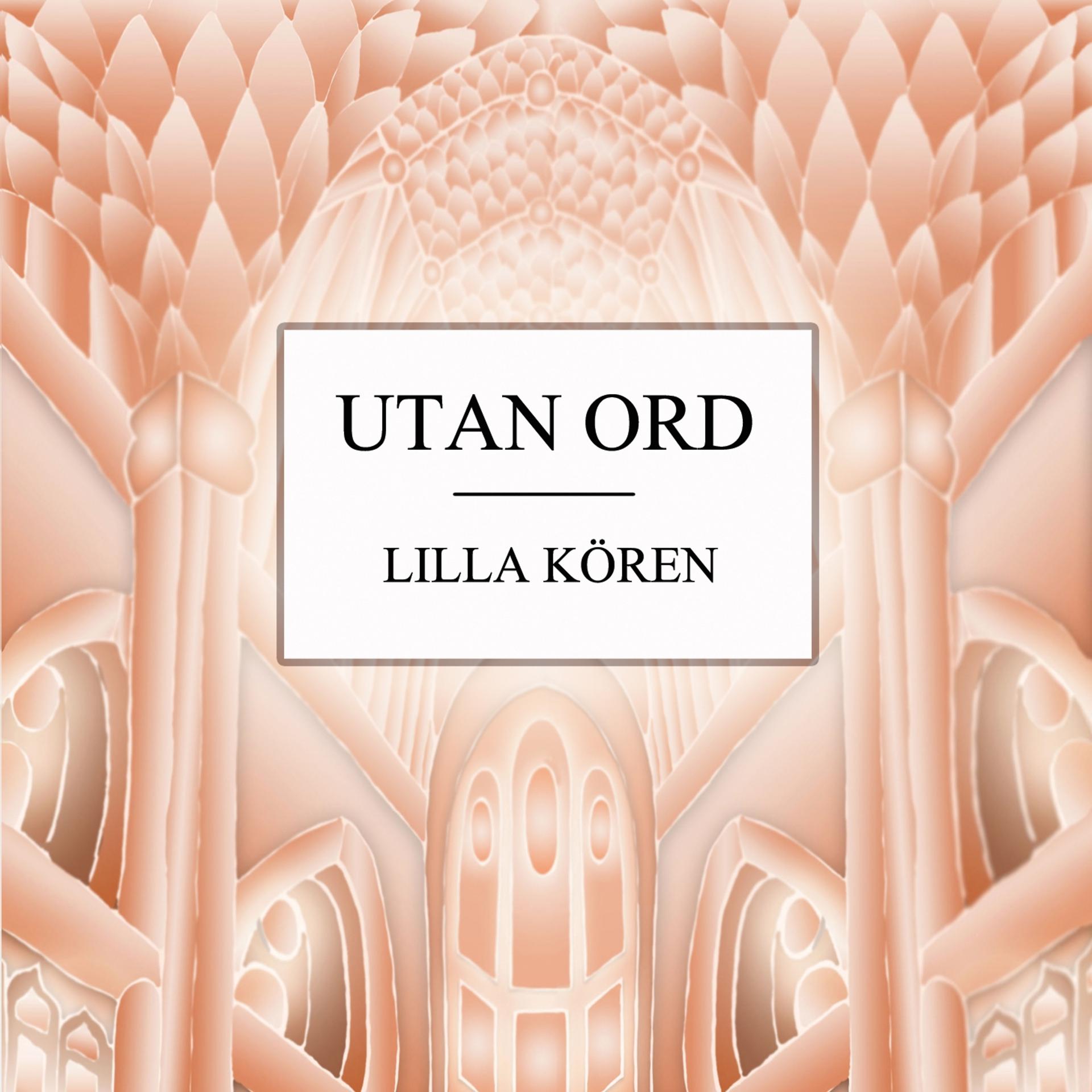 Постер альбома Utan ord