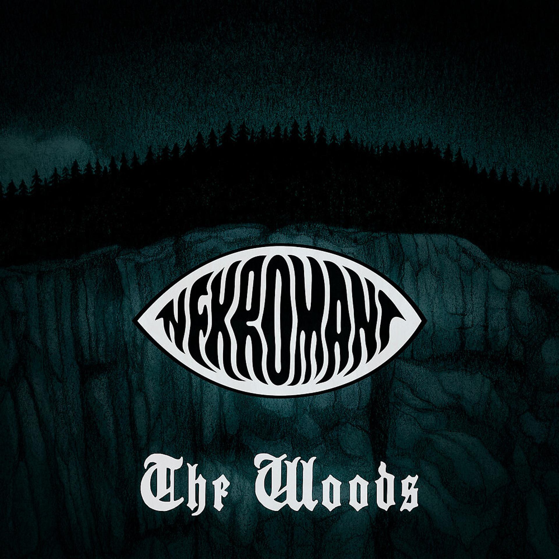 Постер альбома The Woods