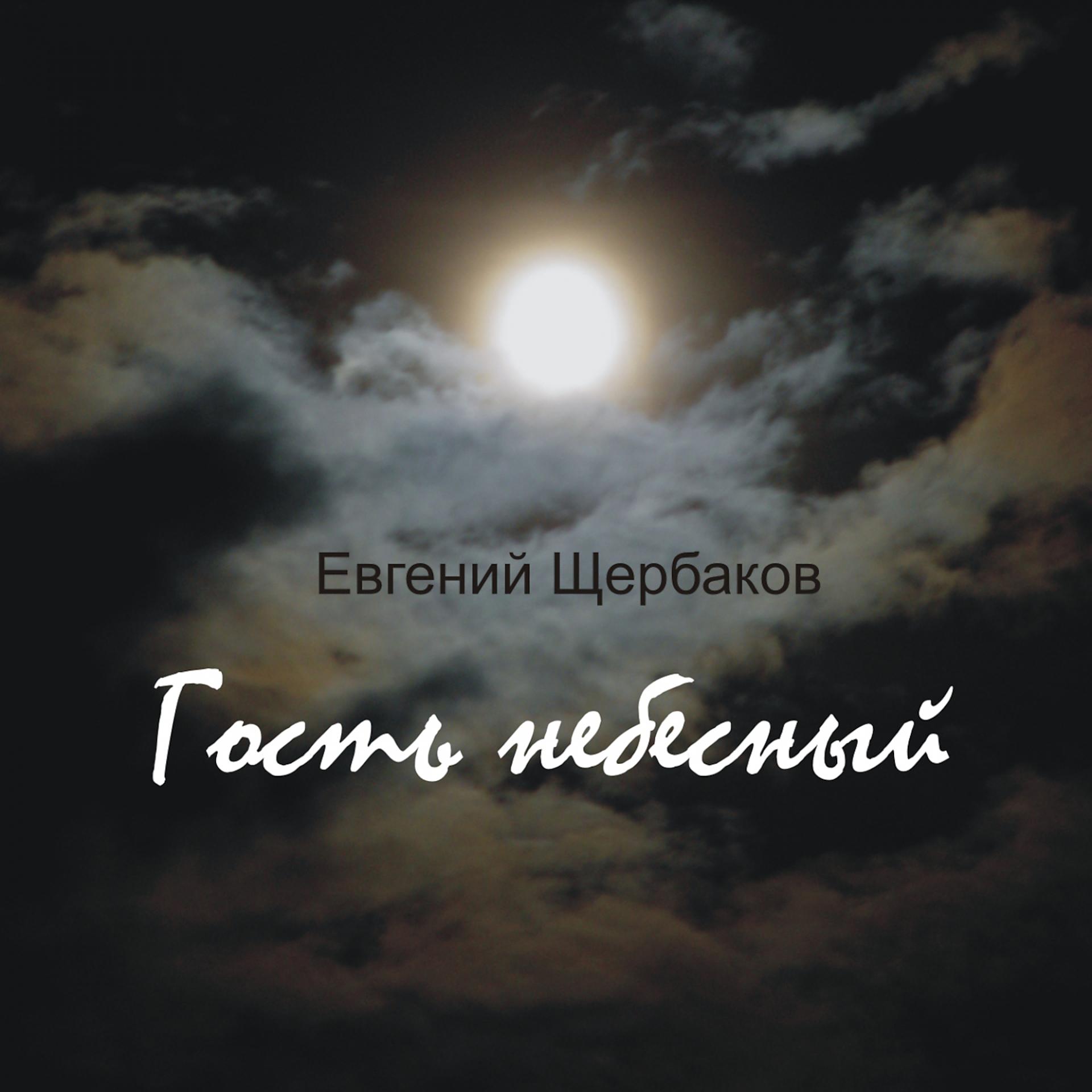 Постер альбома Евгений Щербаков: Гость небесный