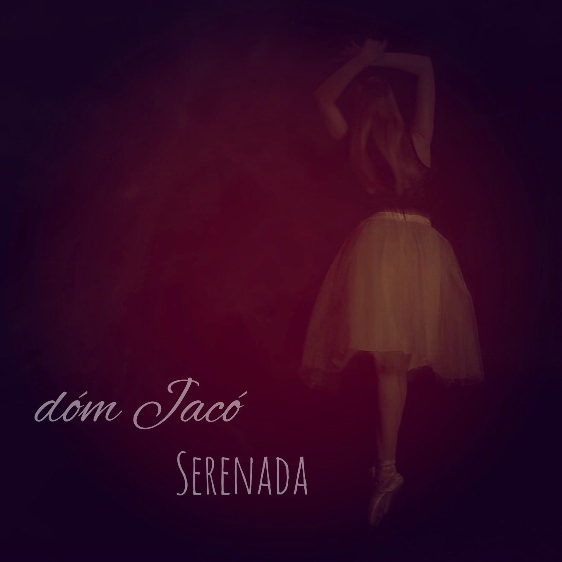 Постер альбома Serenada