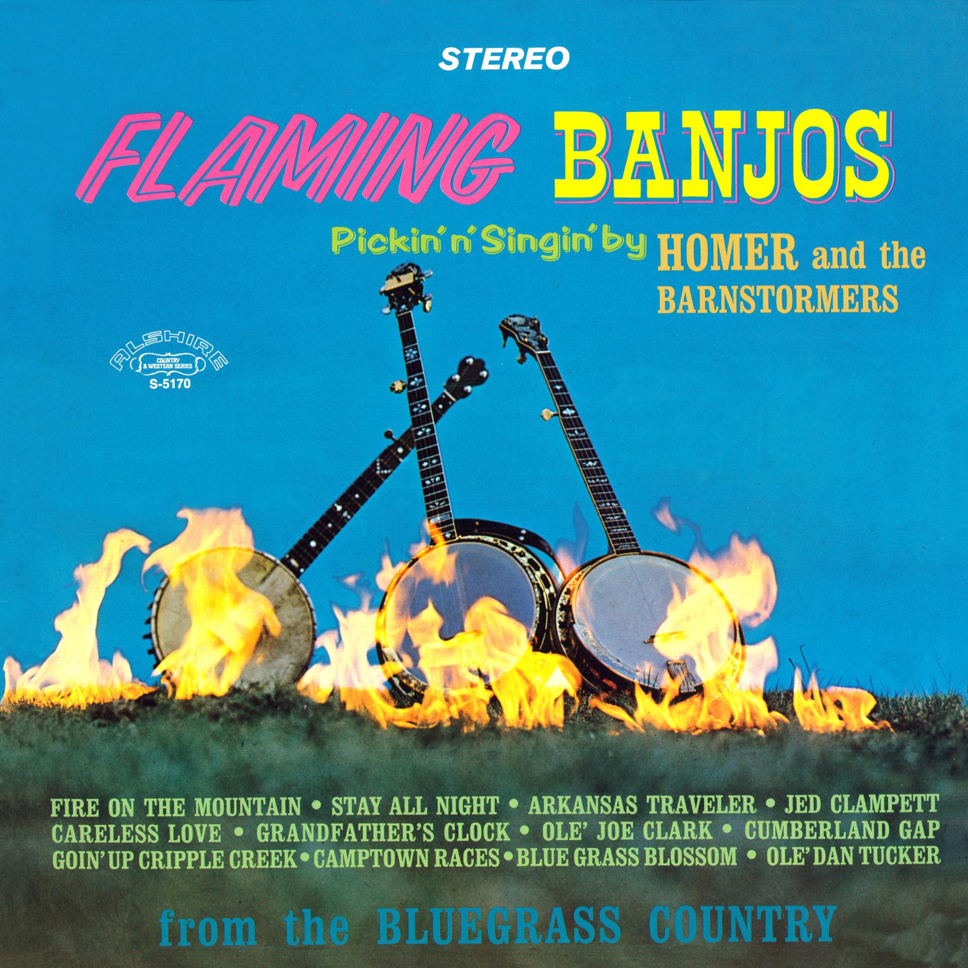Постер альбома Flaming Banjos (2021 Remaster from the Original Alshire Tapes)