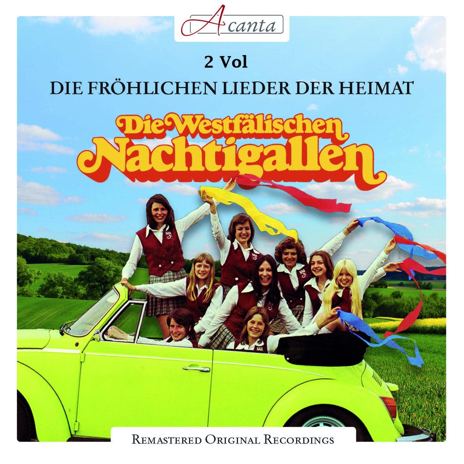 Постер альбома Die fröhlichen Lieder der Heimat, Vol. 2