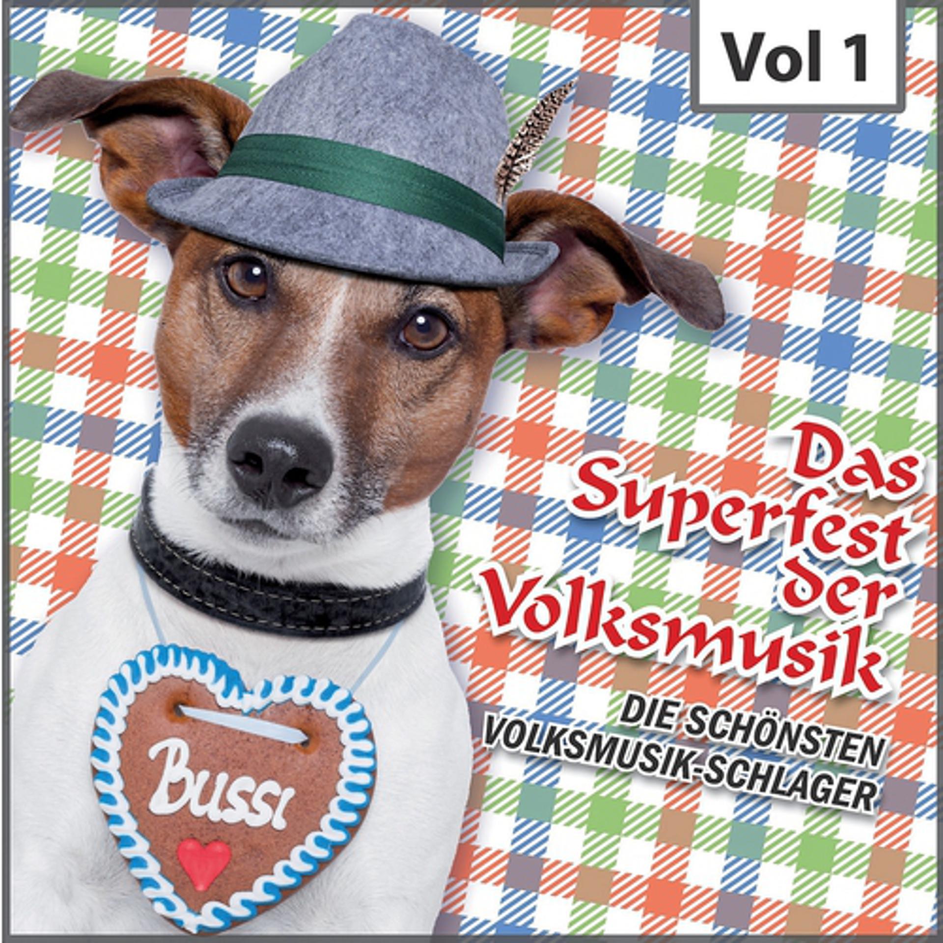 Постер альбома Das Superfest der Volksmusik, Vol. 1