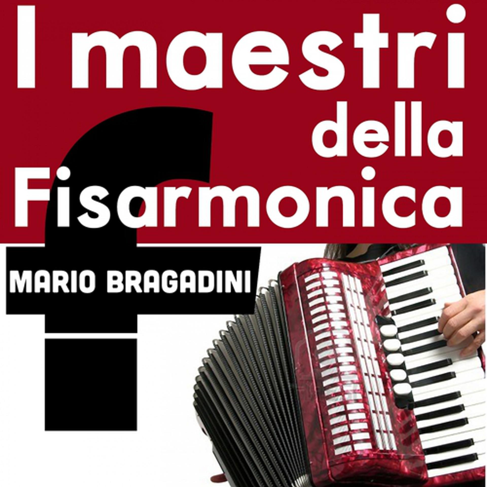 Постер альбома I maestri della fisarmonica