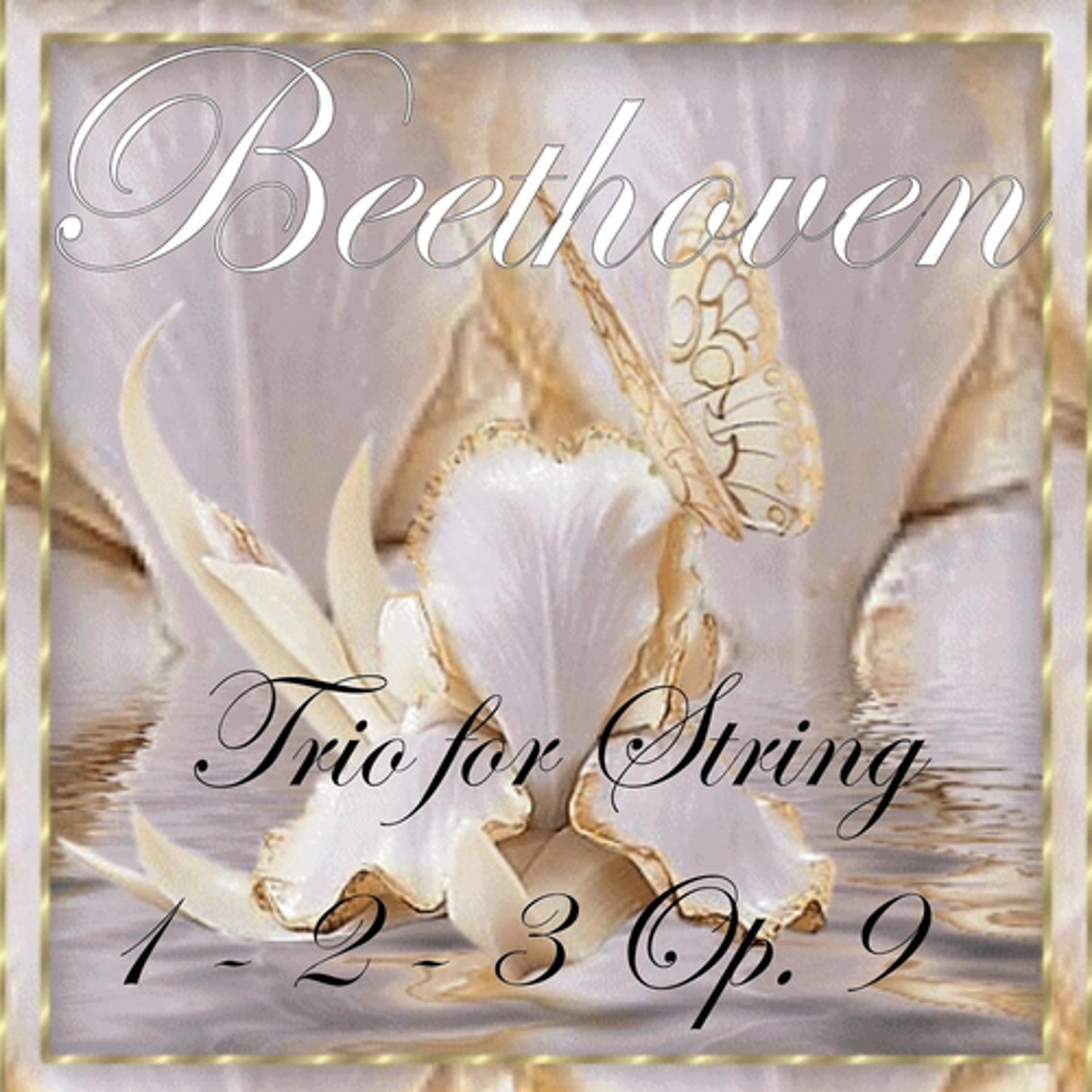 Постер альбома Beethoven: Trio for String Nos. 1, 2 & 3, Op. 9