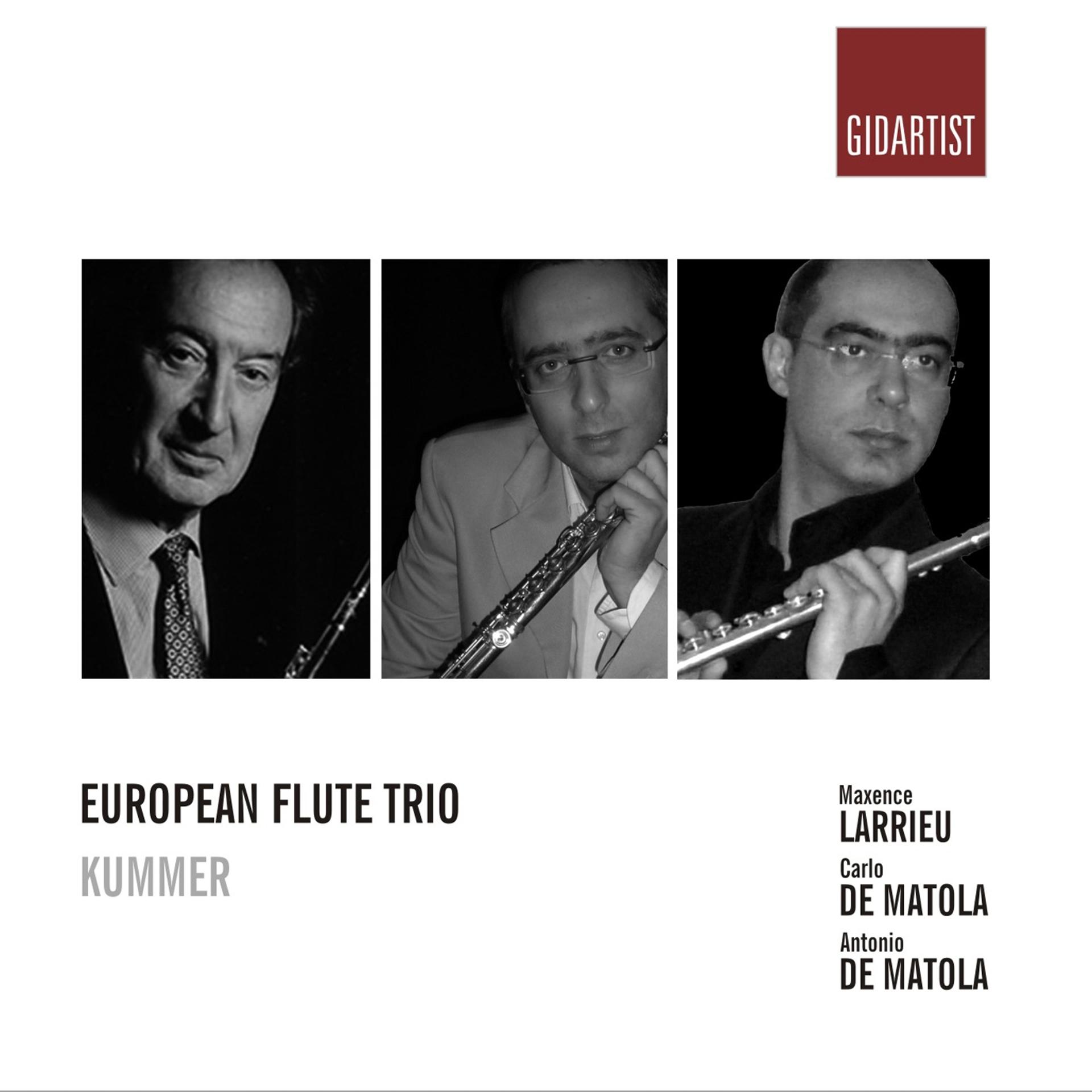 Постер альбома Kummer: Flute Trio