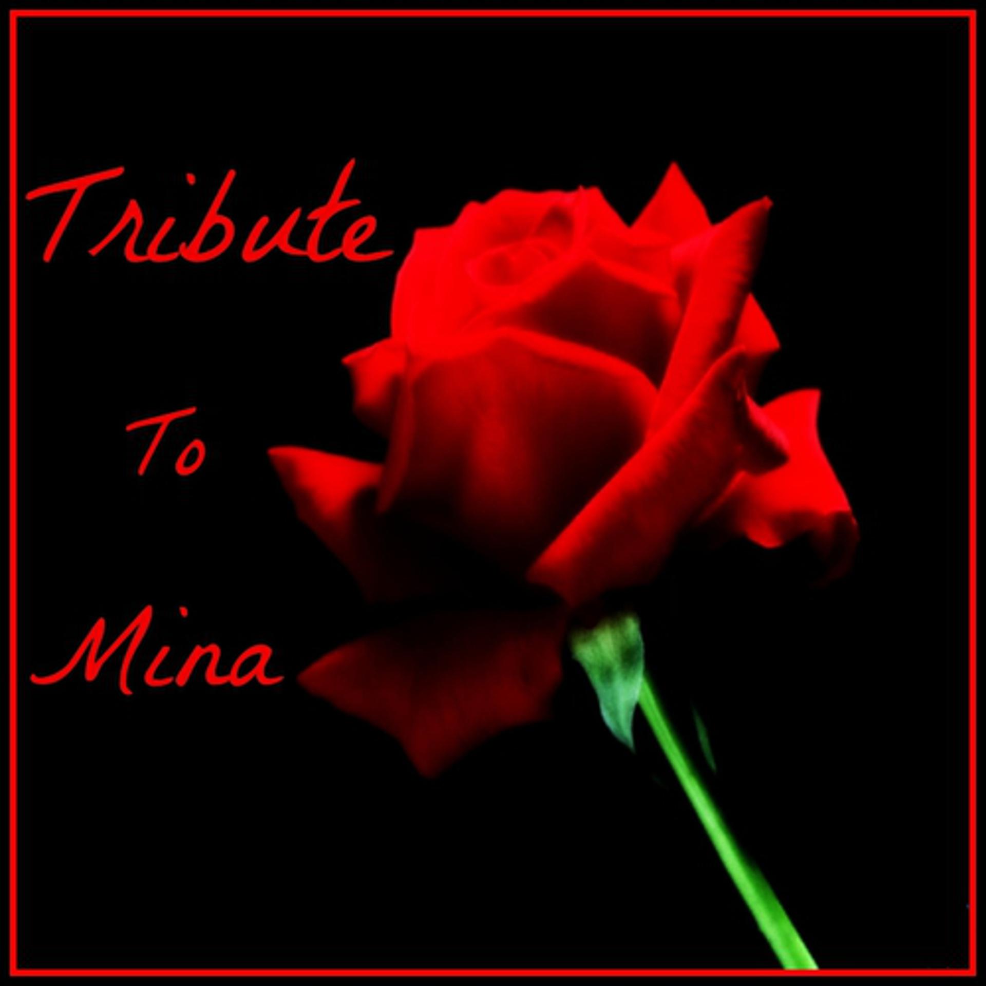 Постер альбома Tribute to Mina